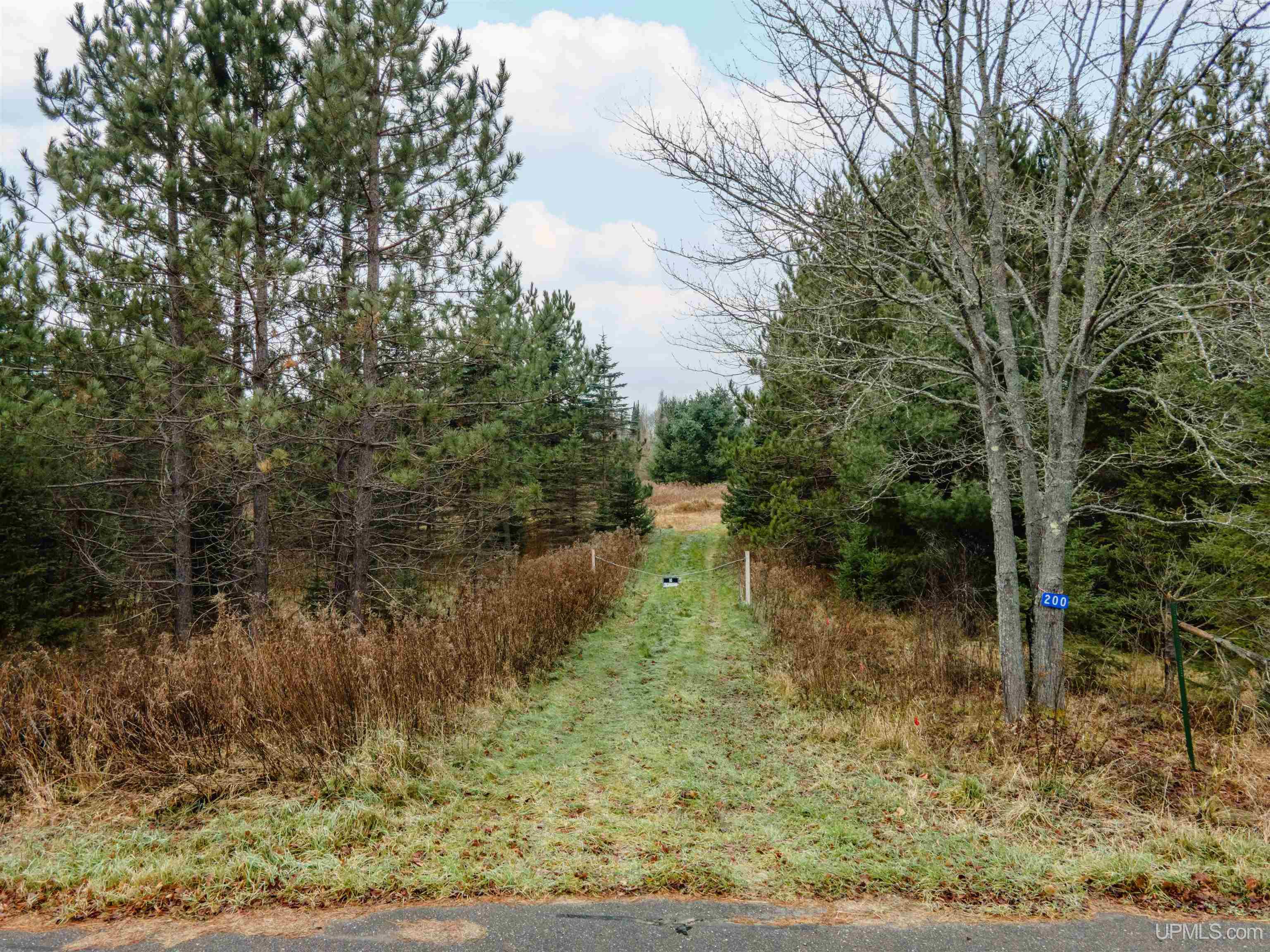 MLS 50207752 Large photo number 2 