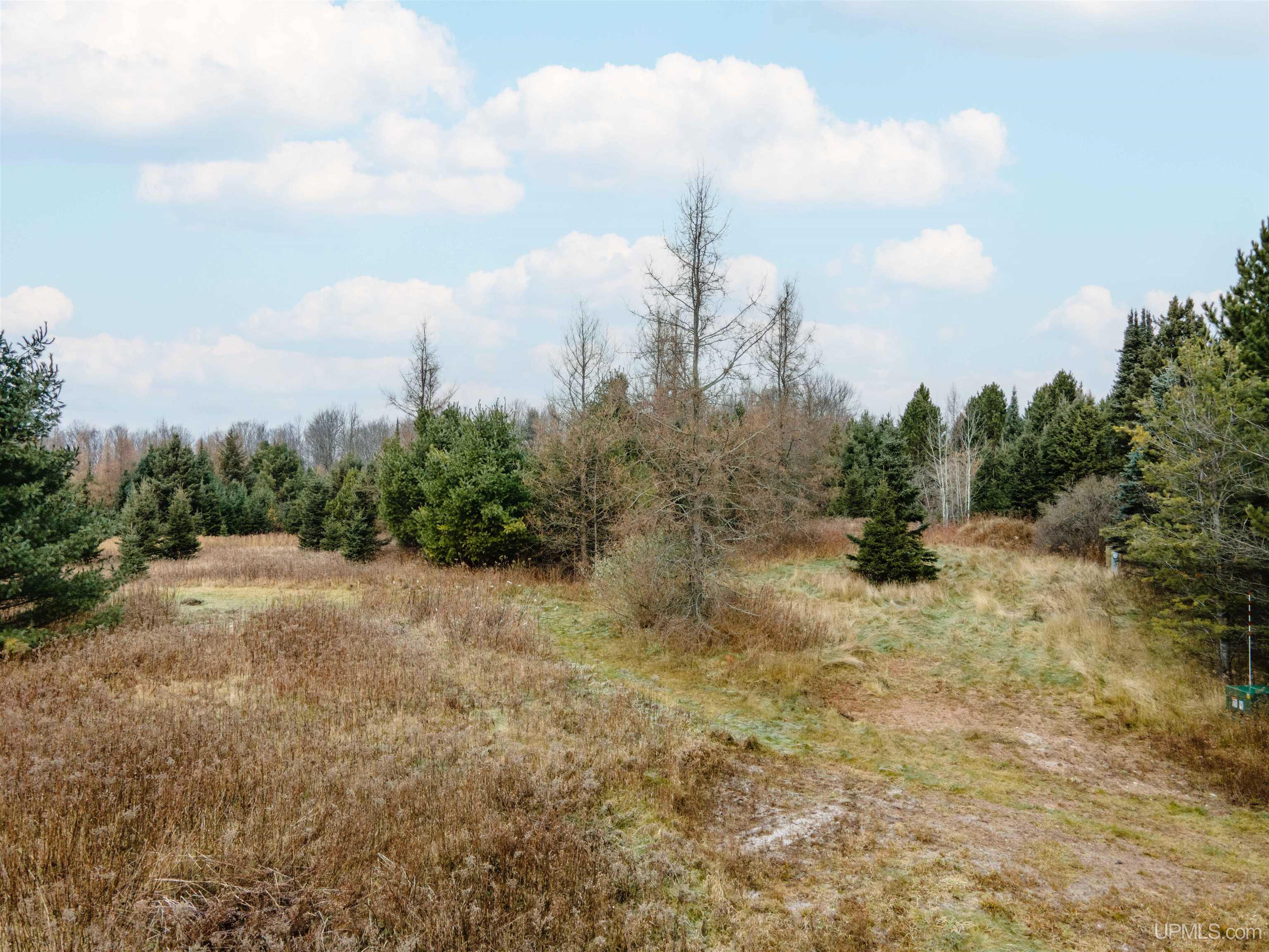 MLS 50207752 Large photo number 3 