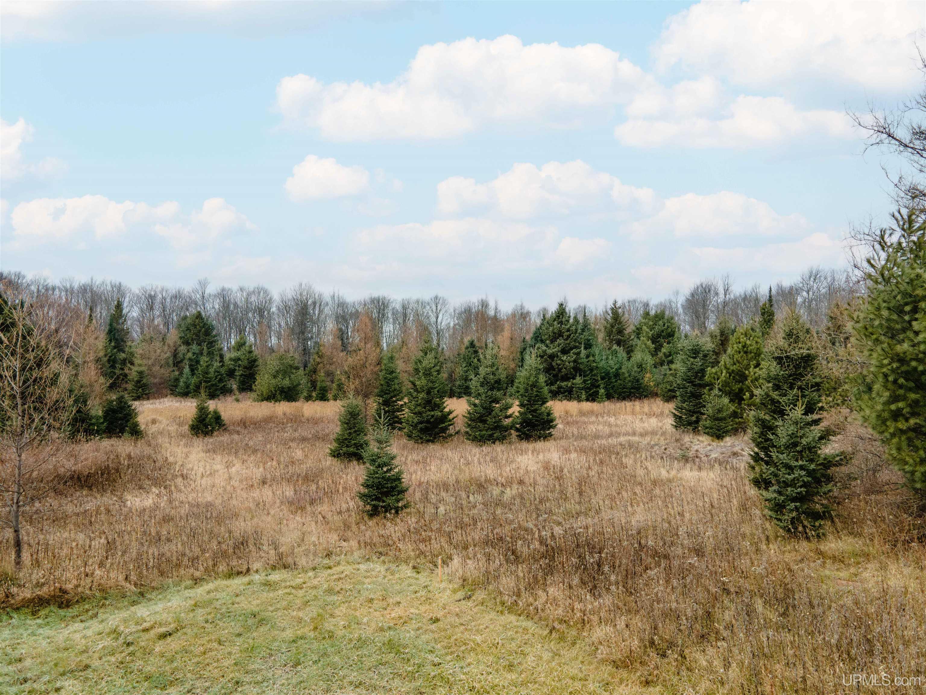 MLS 50207752 Large photo number 5 