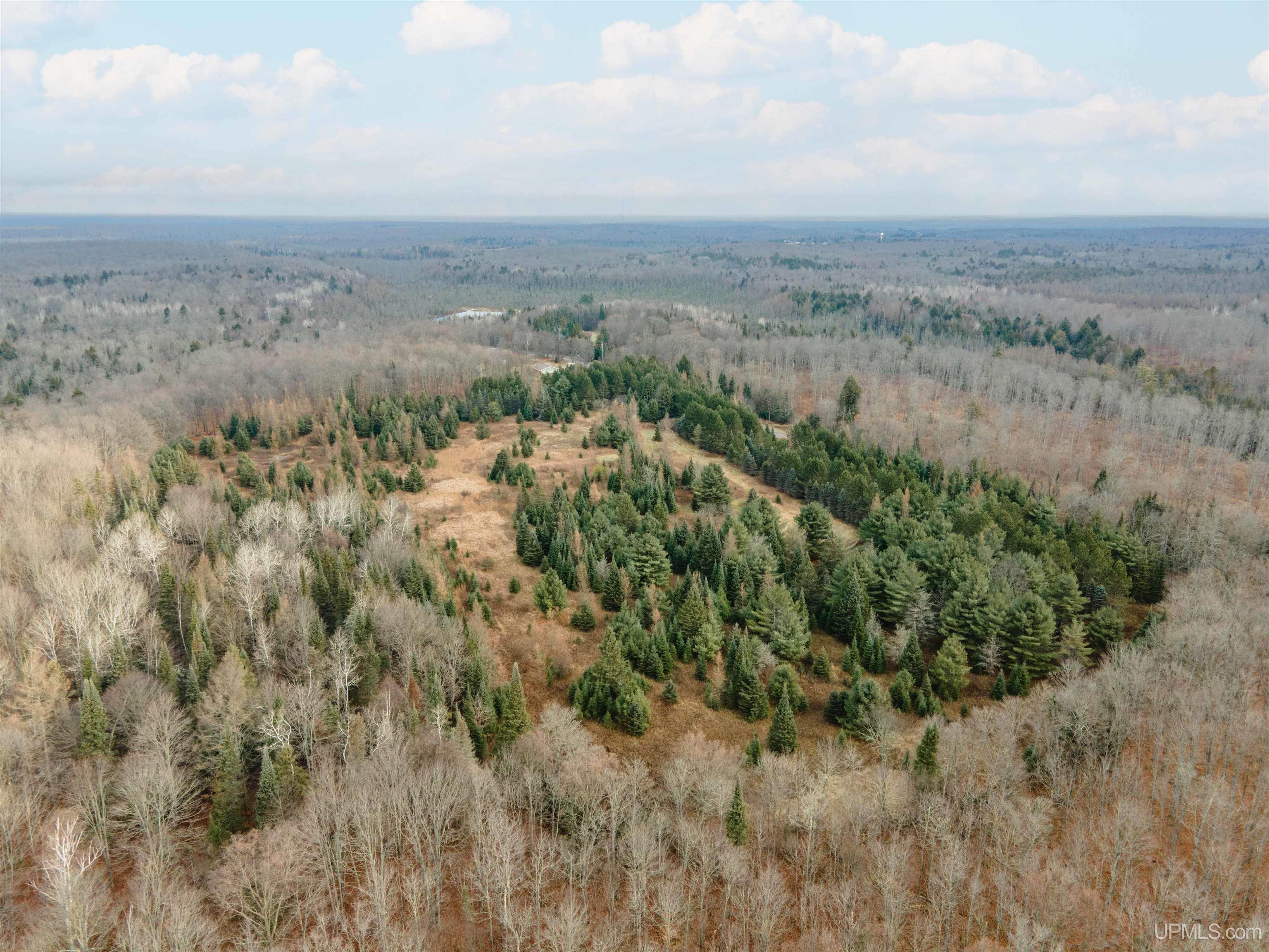 MLS 50207752 Large photo number 9 