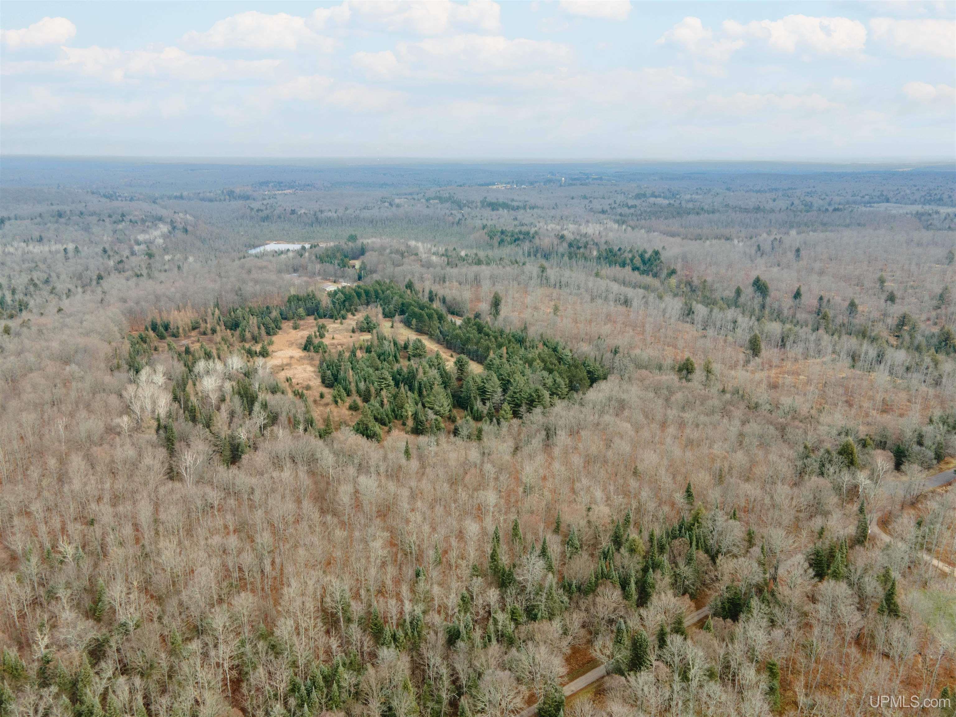 MLS 50207752 Large photo number 10 