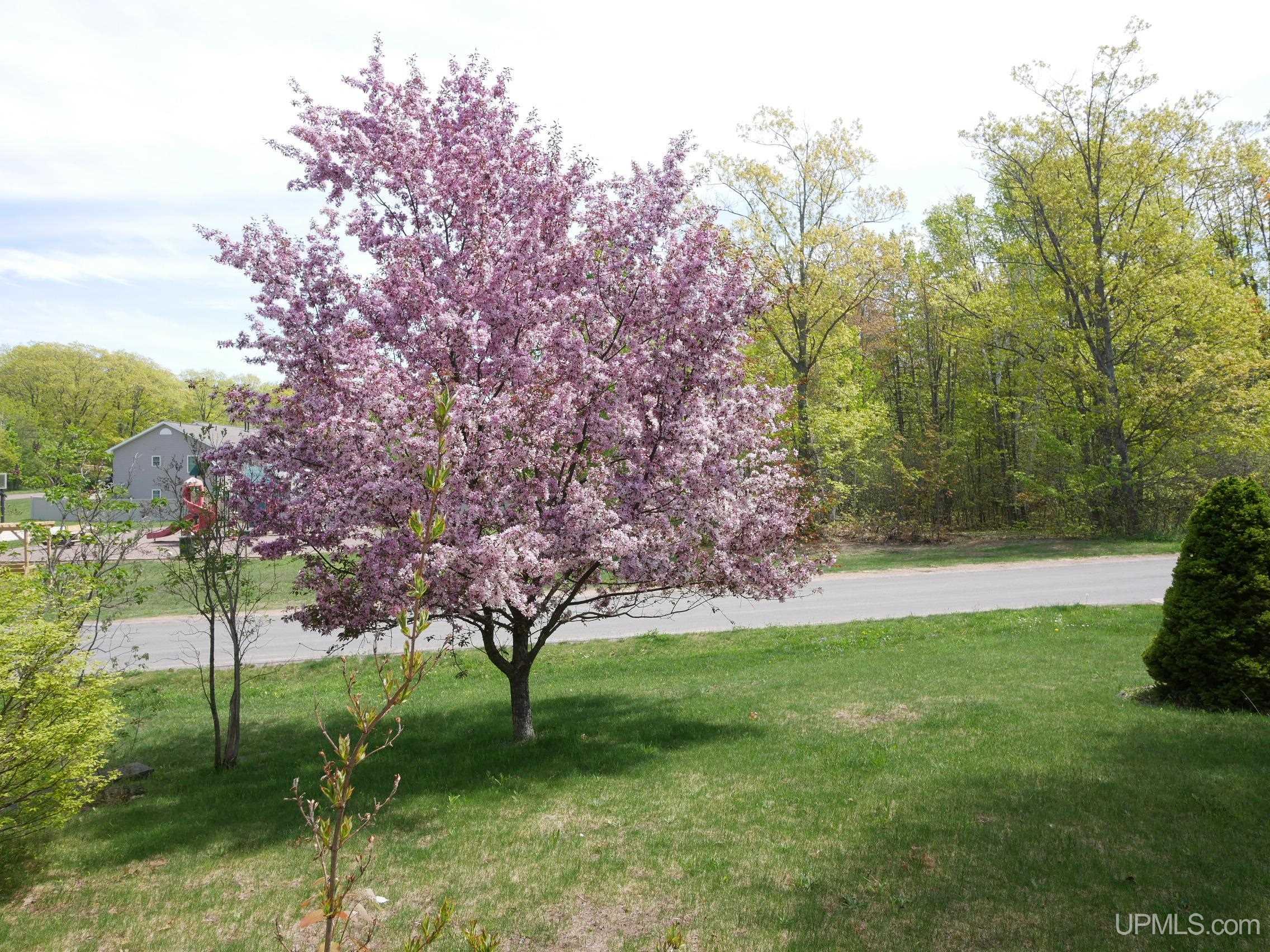 MLS 50207798 Large photo number 54 