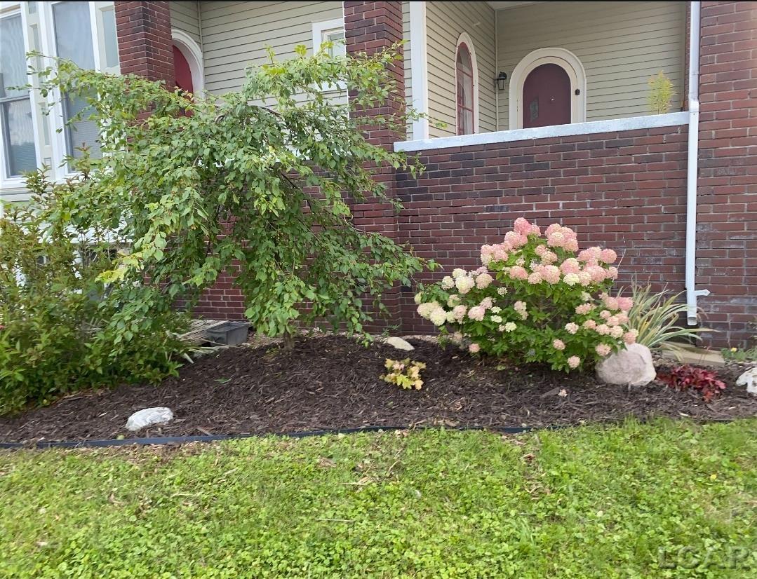 Picture 15