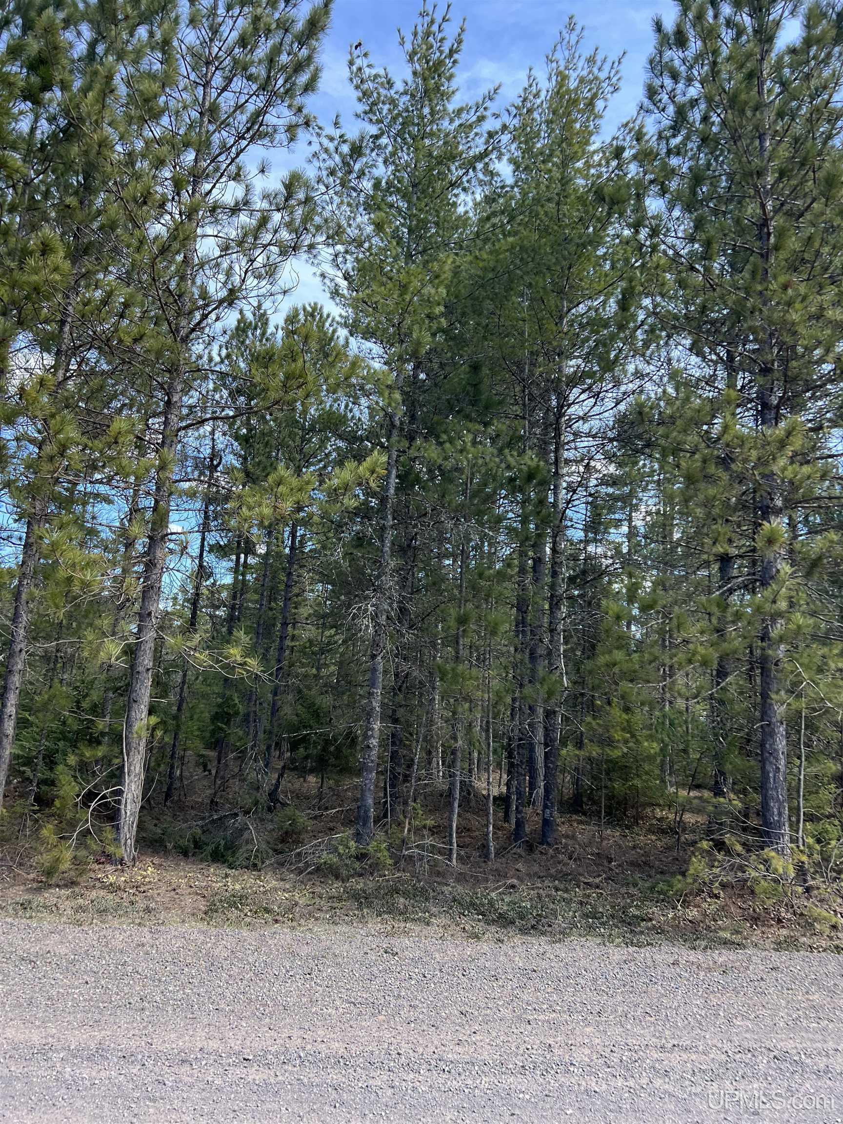 MLS 50208053 Large photo number 20 