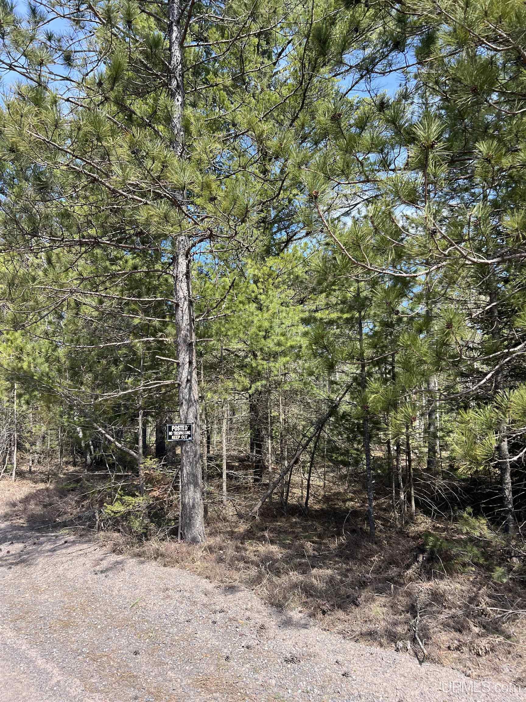 MLS 50208053 Large photo number 21 