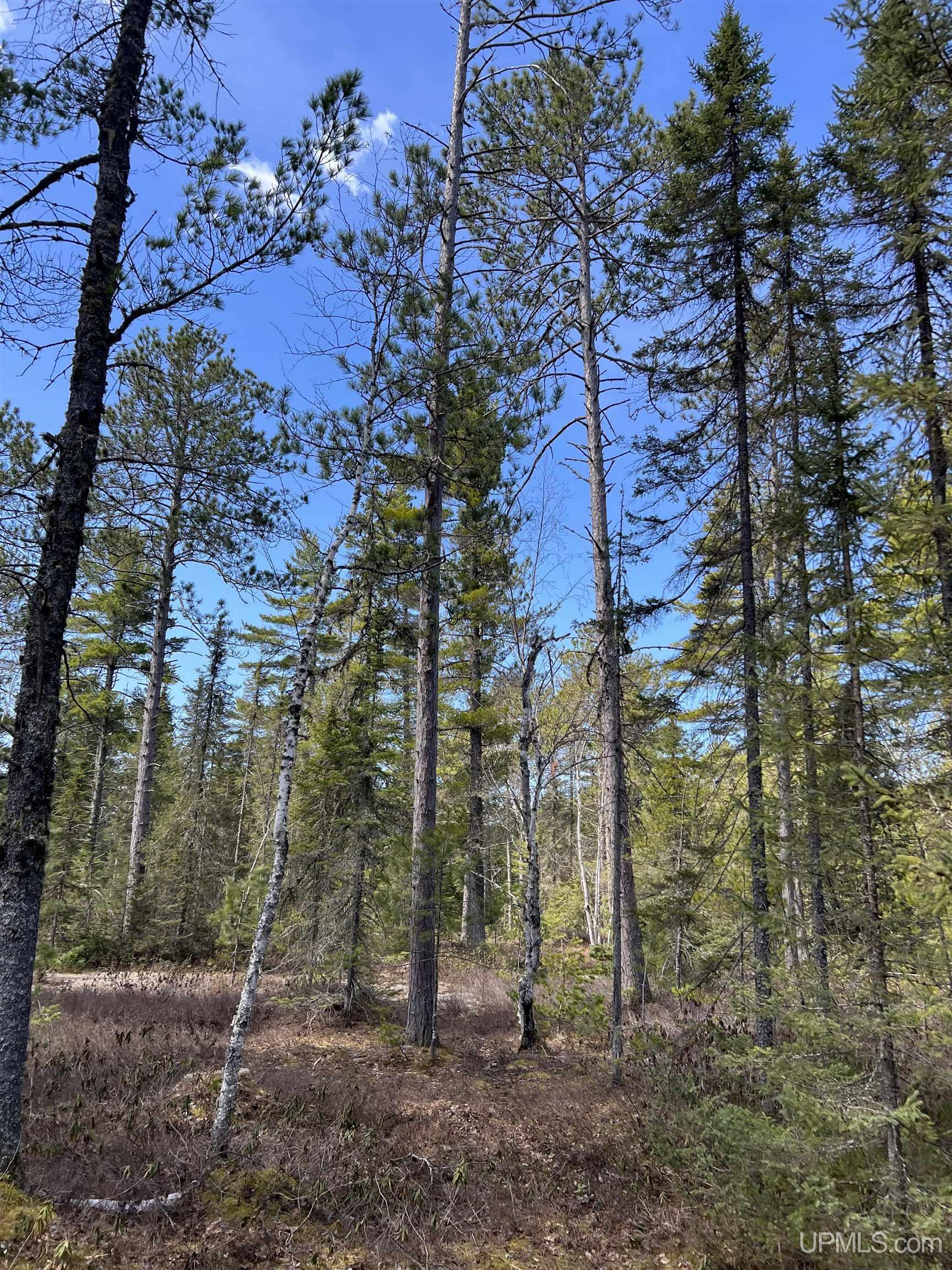MLS 50208053 Large photo number 24 