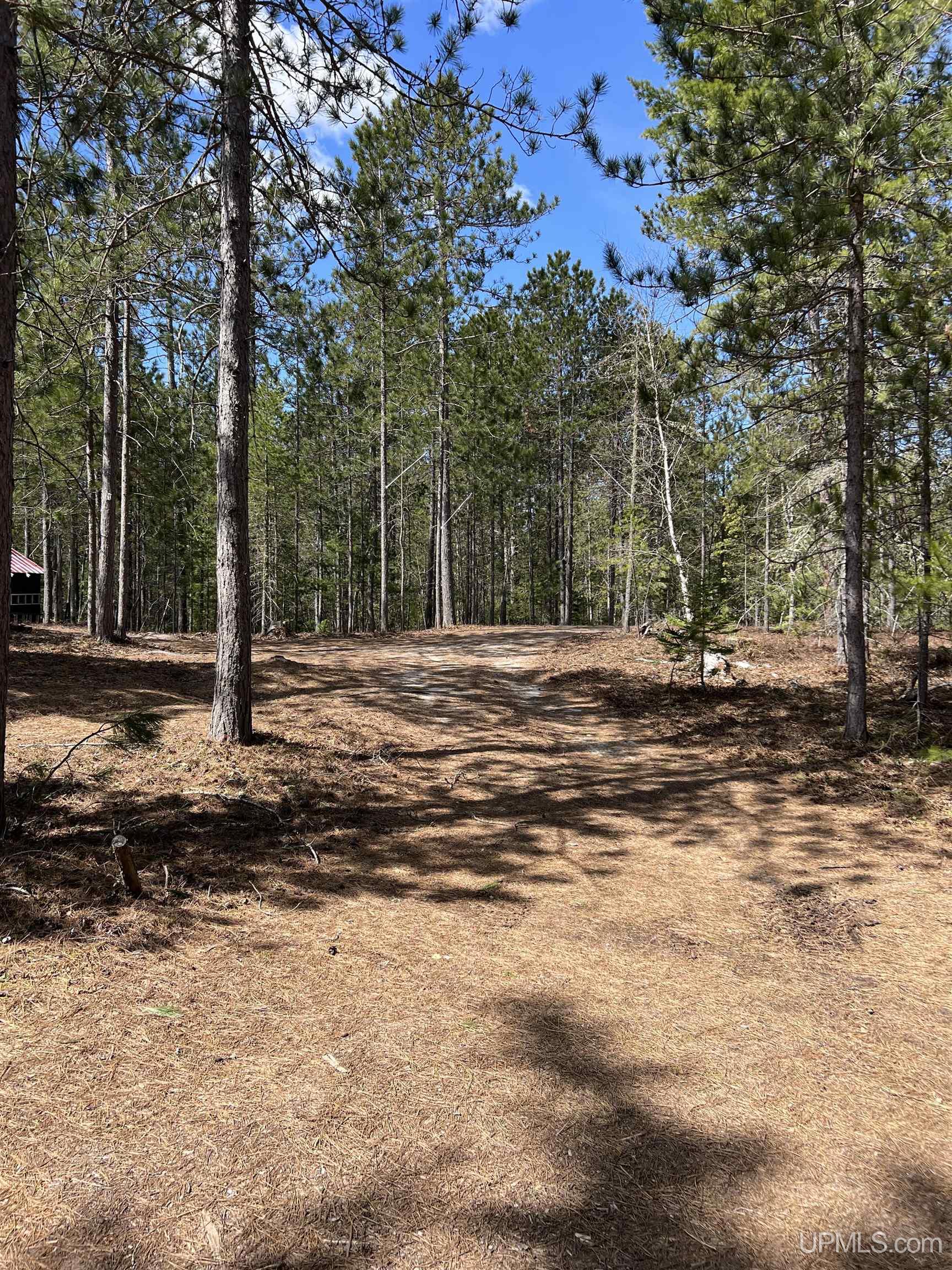 MLS 50208053 Large photo number 32 