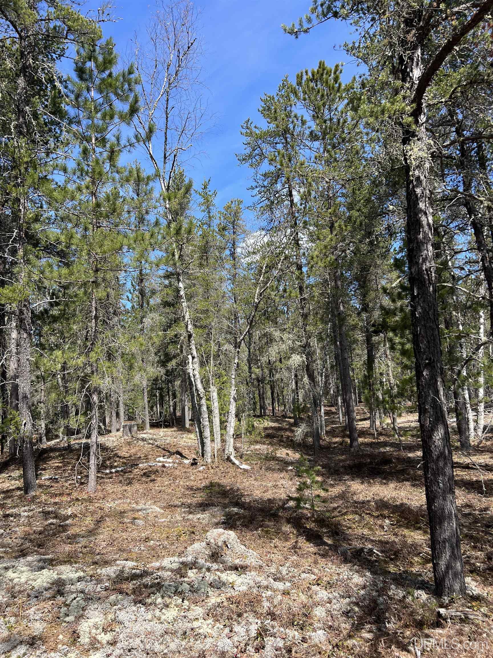 MLS 50208053 Large photo number 35 