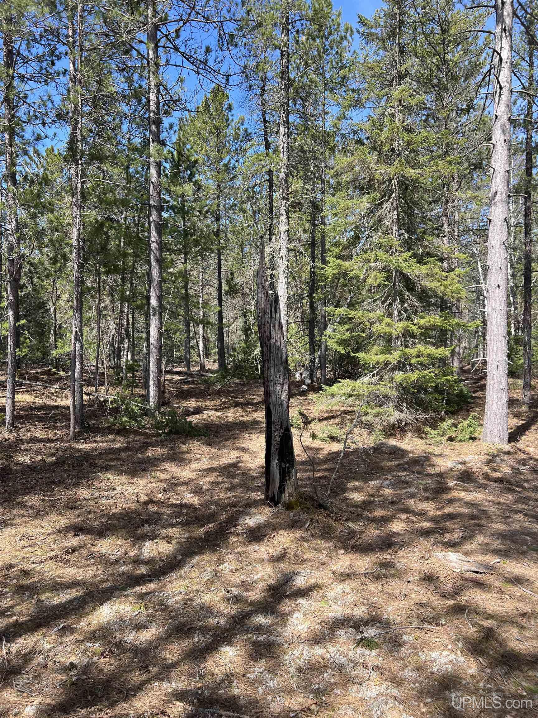 MLS 50208053 Large photo number 37 