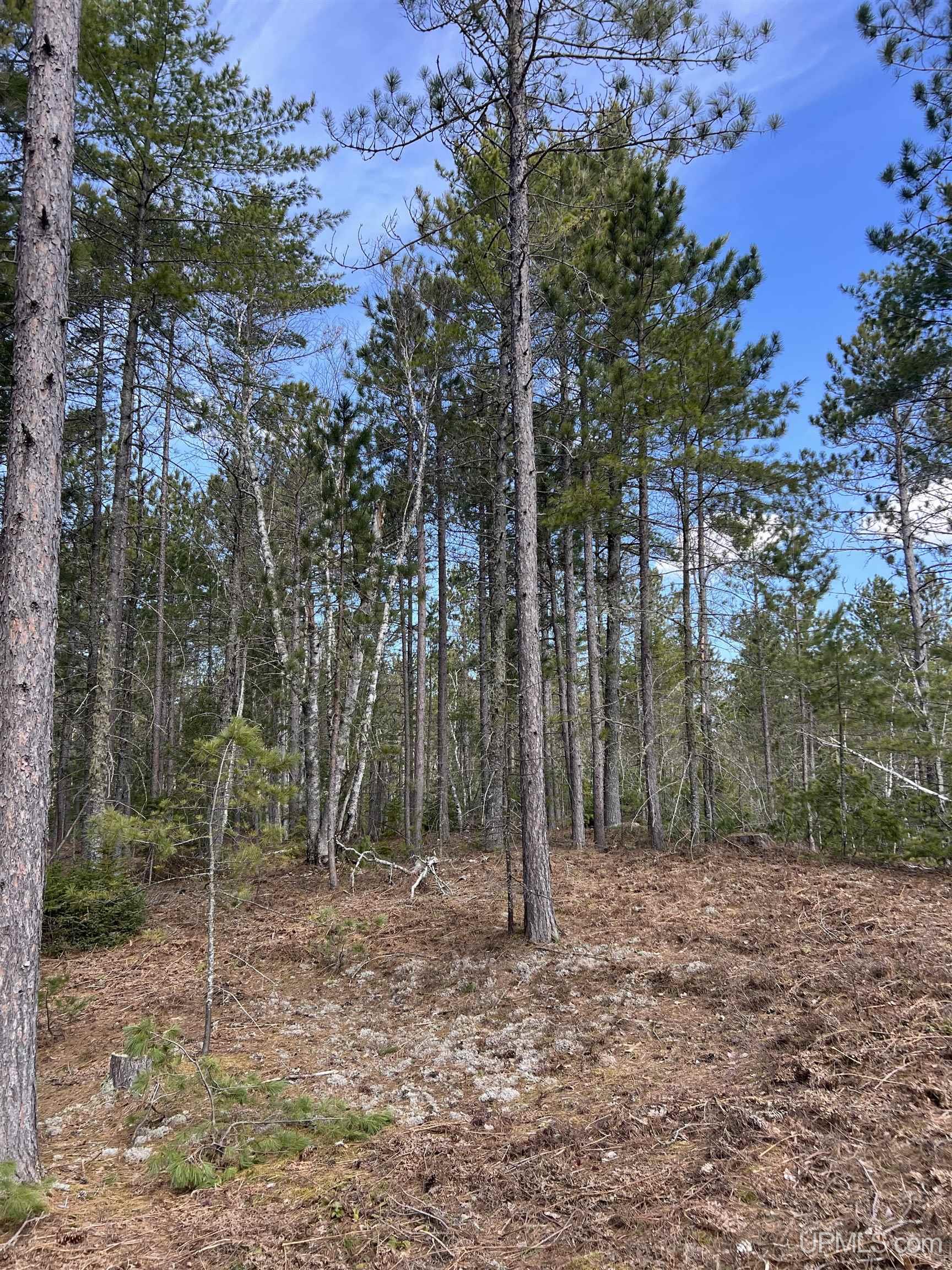 MLS 50208053 Large photo number 44 