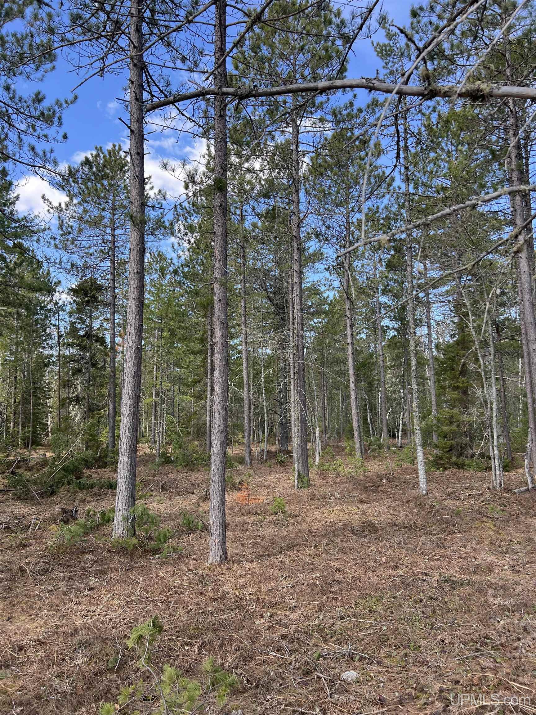 MLS 50208053 Large photo number 45 