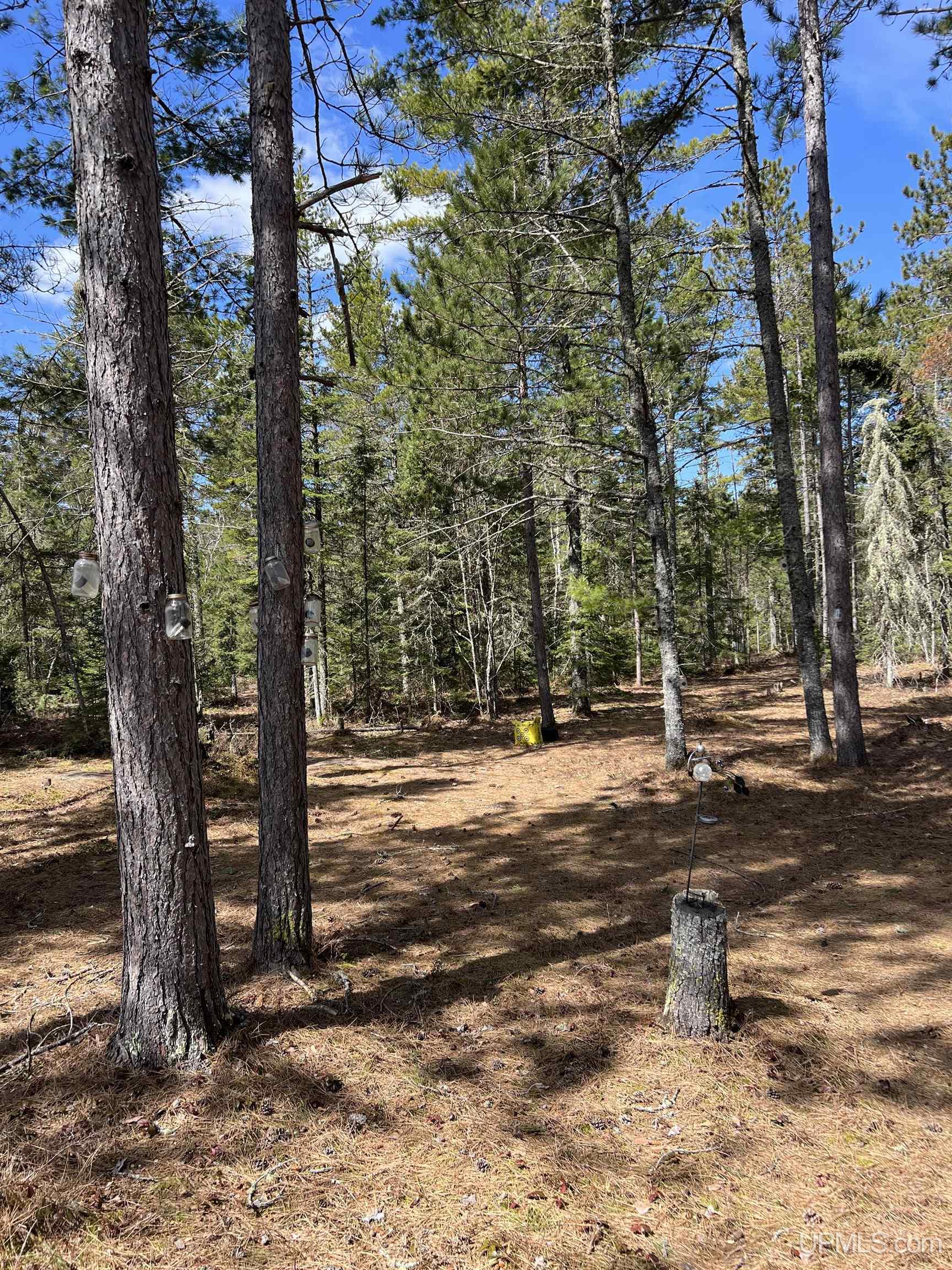 MLS 50208053 Large photo number 46 