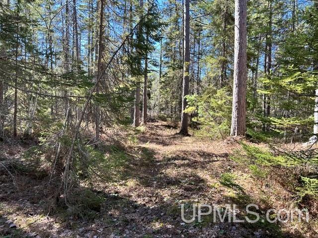 MLS 50208062 Large photo number 5 