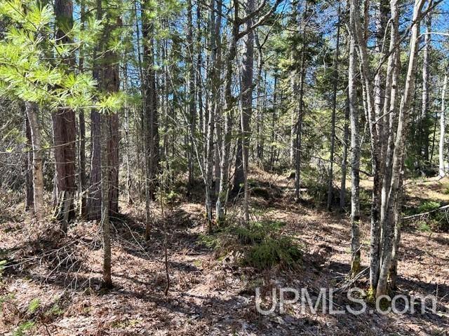 MLS 50208062 Large photo number 7 