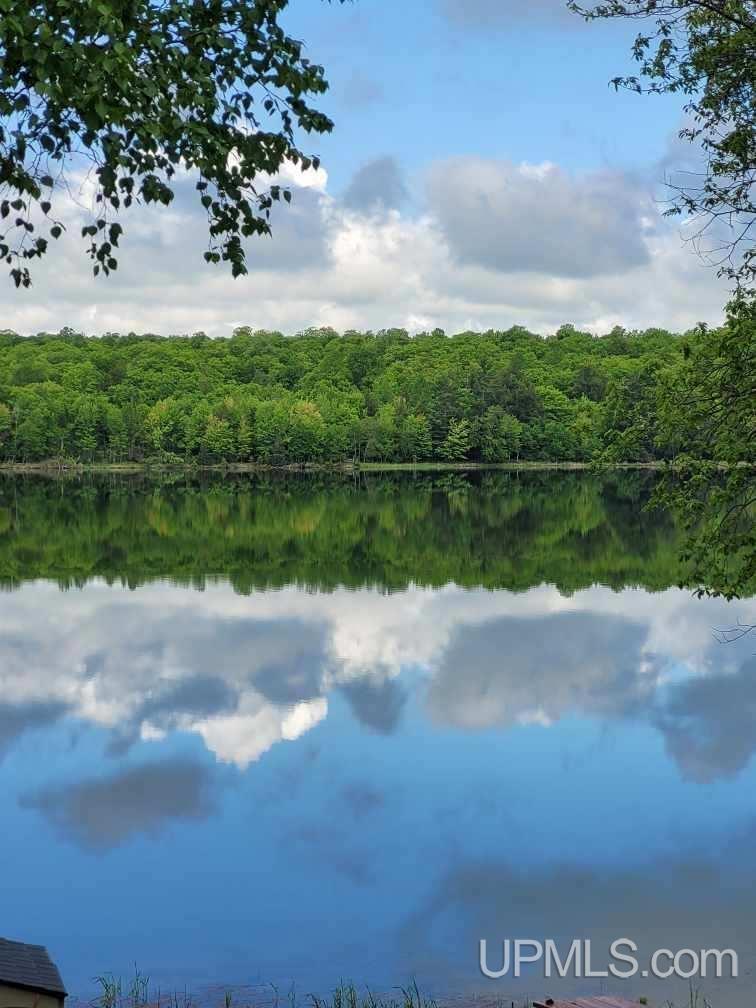 MLS 50208096 Large photo number 29 