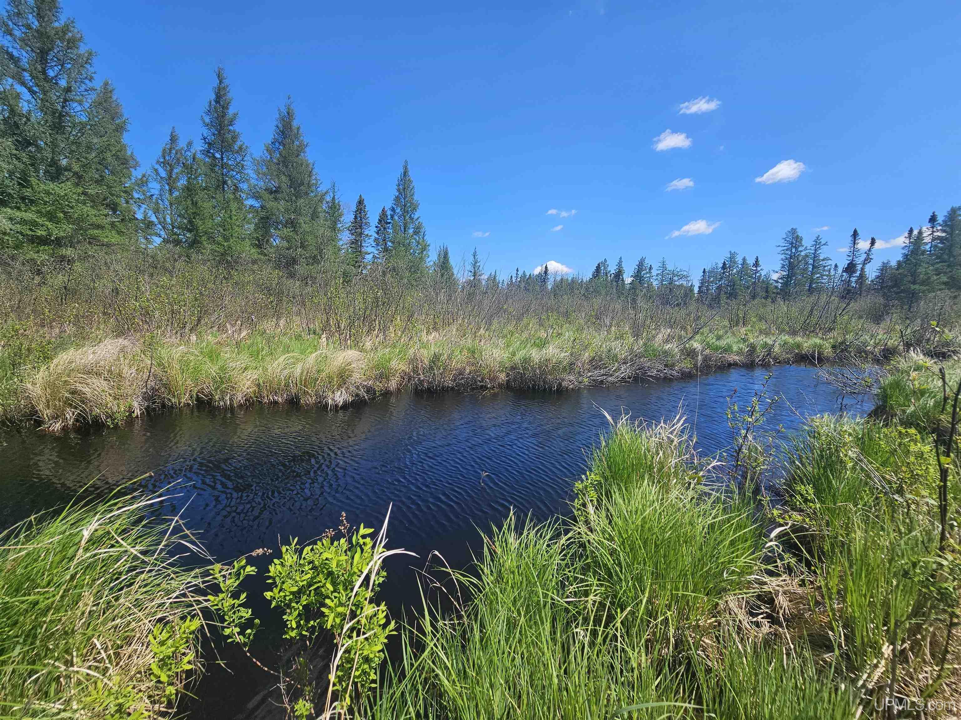 MLS 50208158 Large photo number 4 