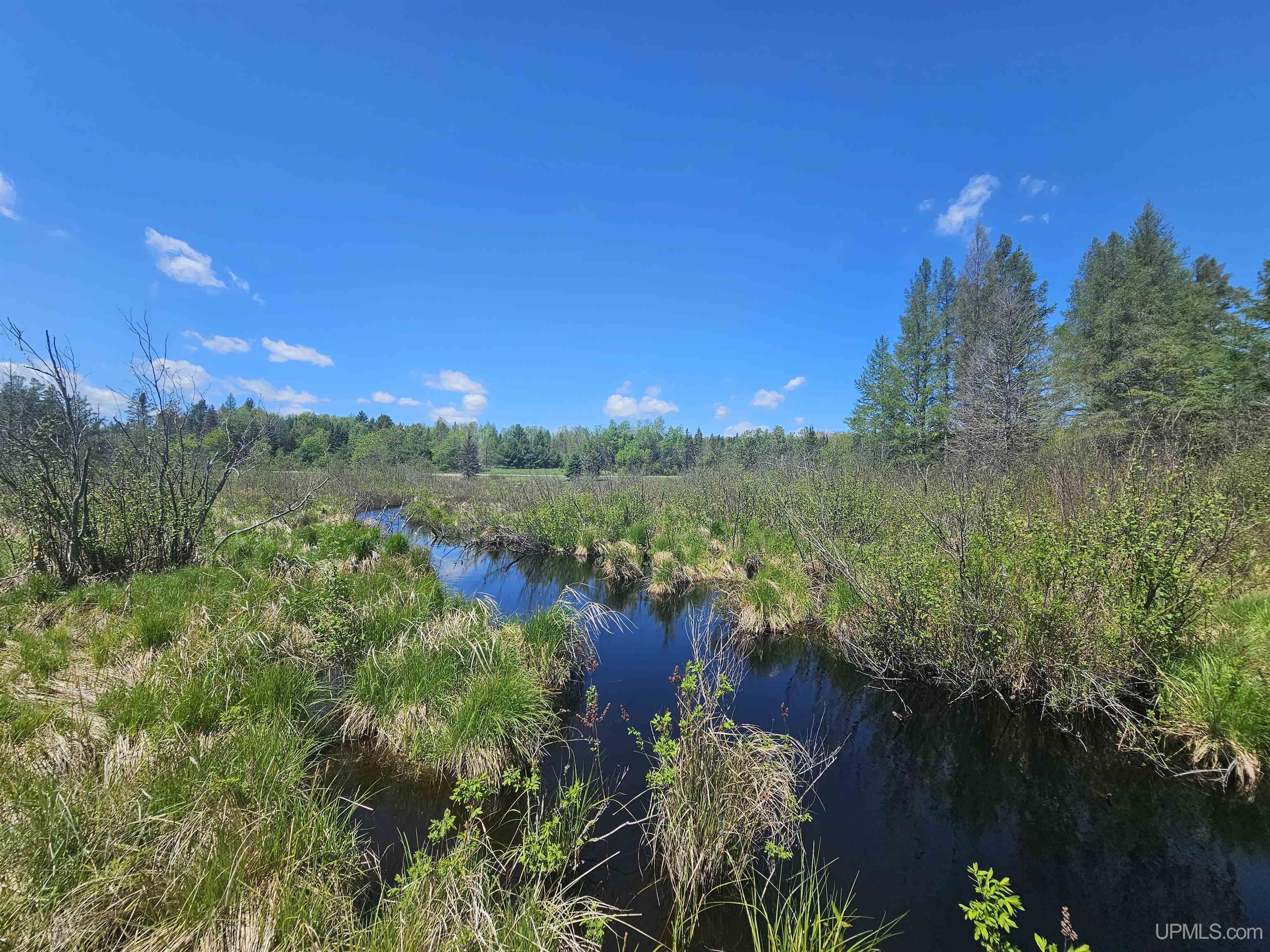 MLS 50208158 Large photo number 69 
