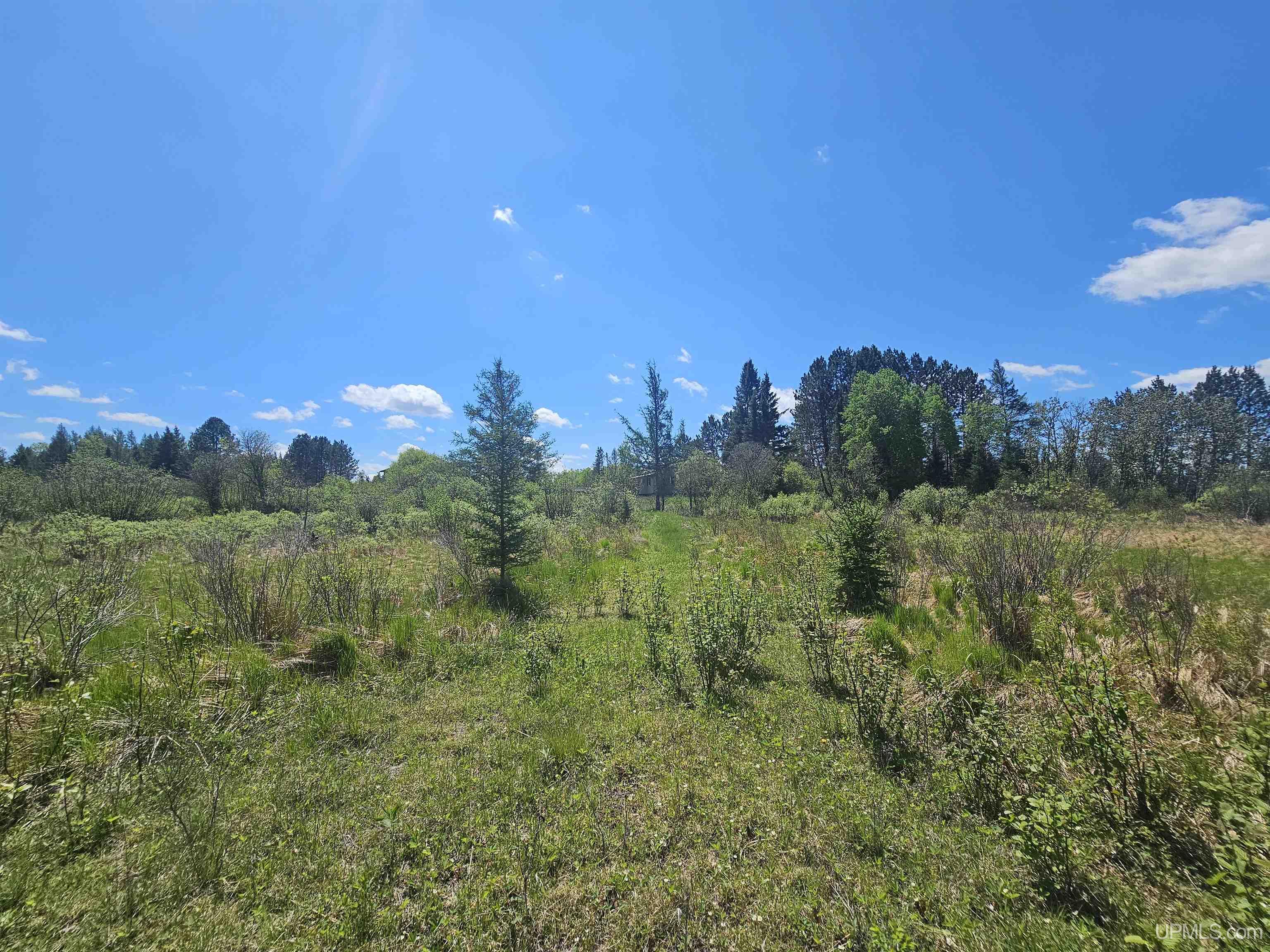 MLS 50208158 Large photo number 72 