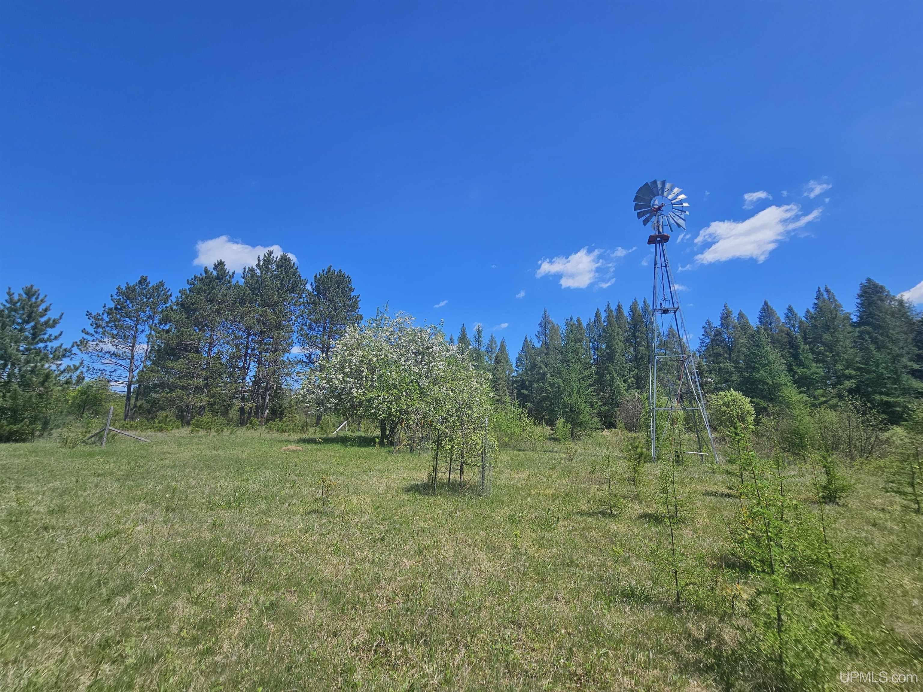 MLS 50208158 Large photo number 74 