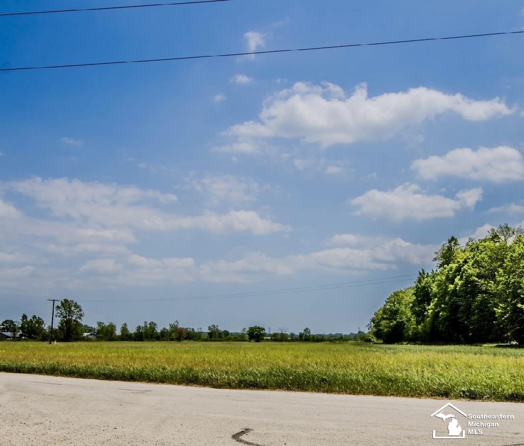 Homes for sale in Carleton, MI | 000 Fay Rd, Carleton, MI 48117 | MLS# 50208238