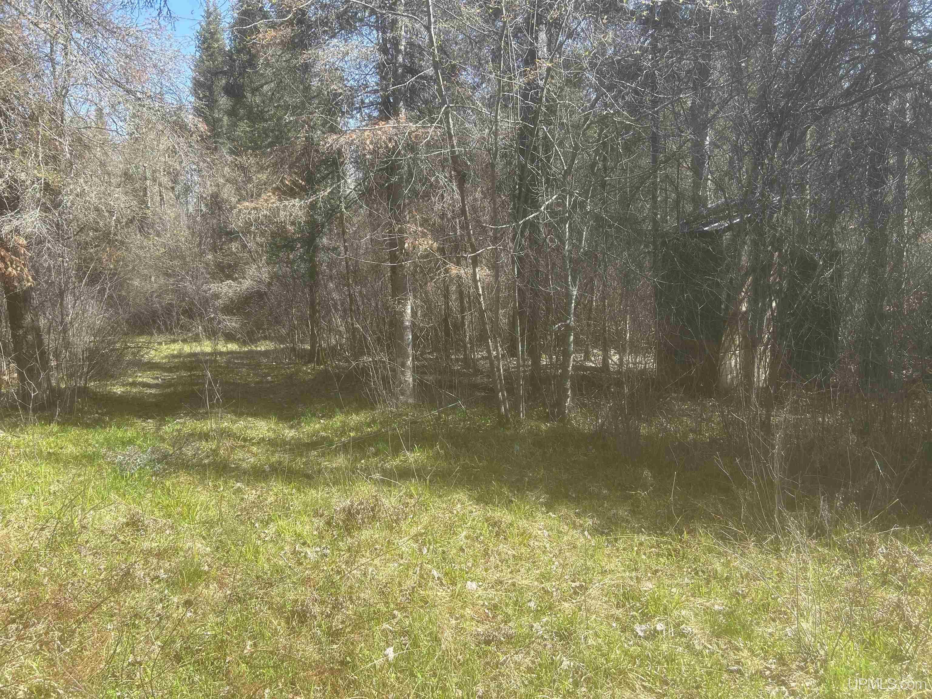 MLS 50208240 Large photo number 11 