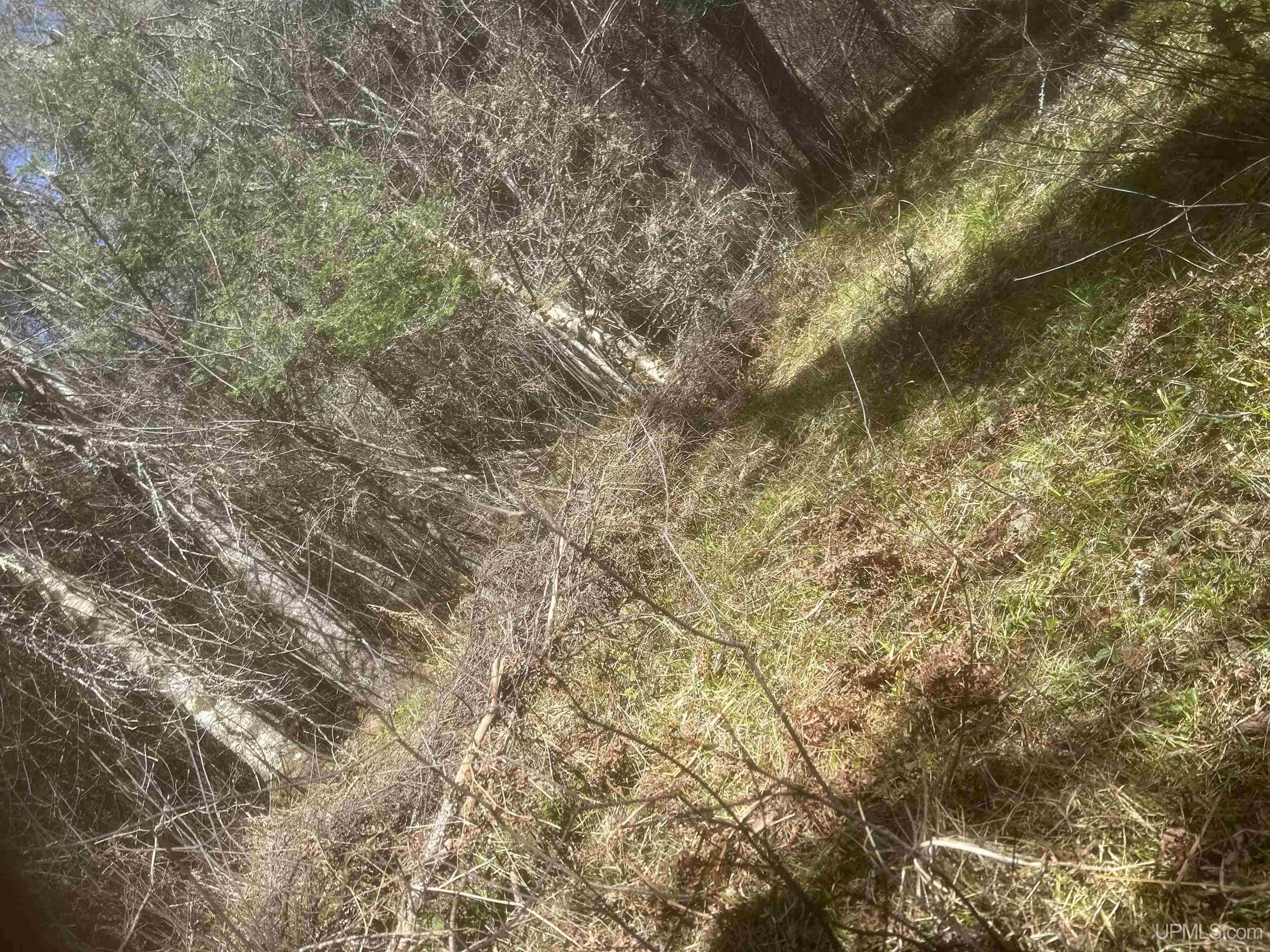 MLS 50208240 Large photo number 14 