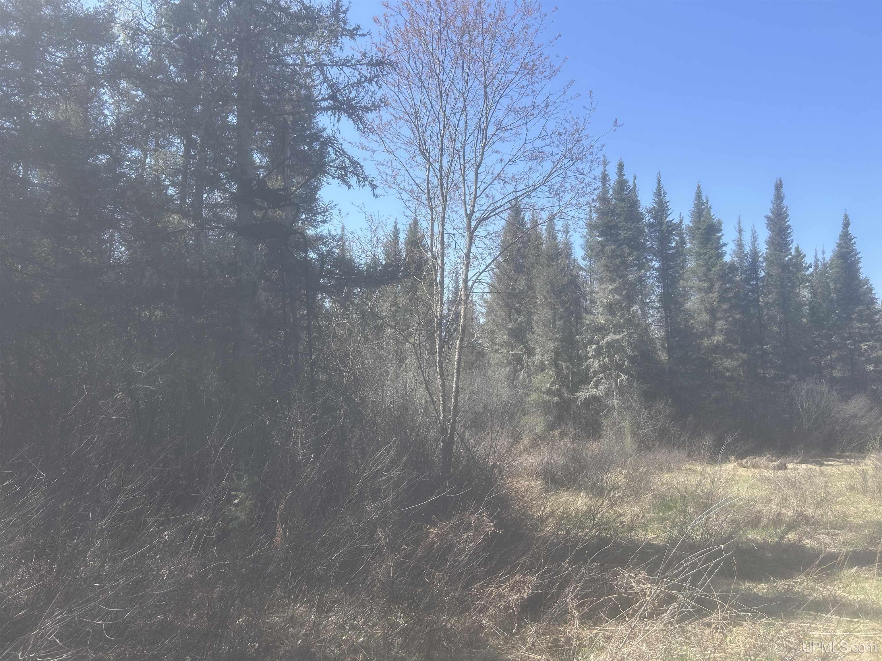 MLS 50208240 Large photo number 15 