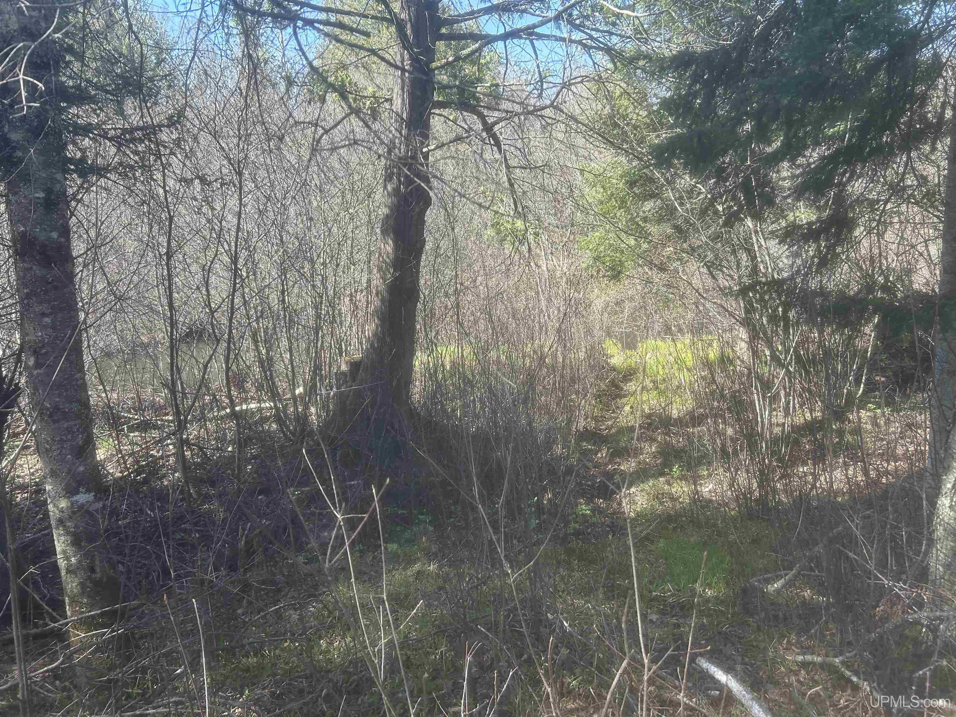 MLS 50208240 Large photo number 3 