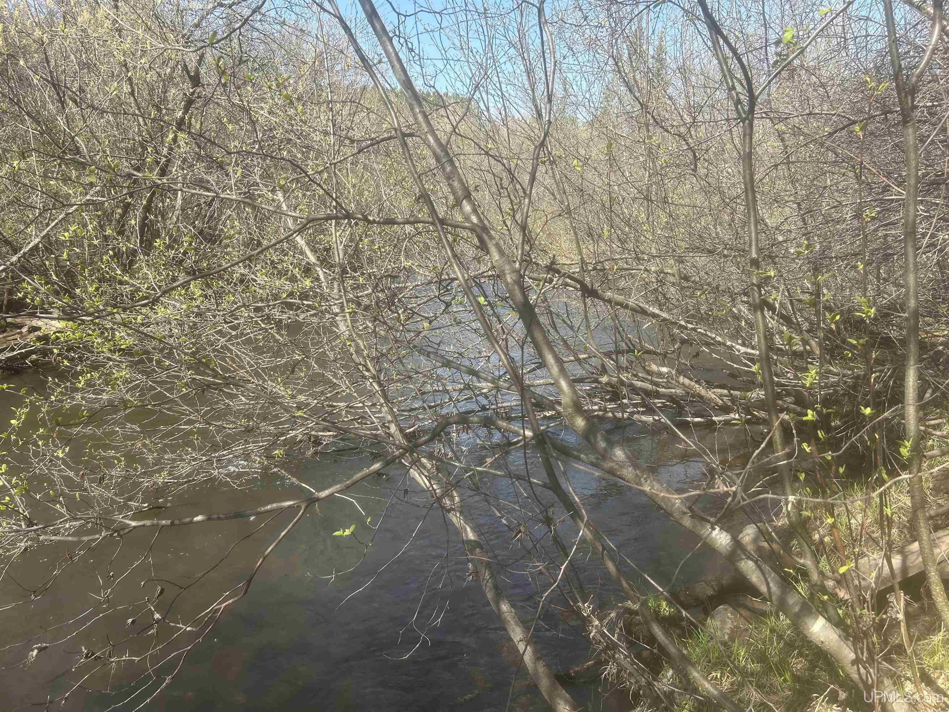 MLS 50208240 Large photo number 4 