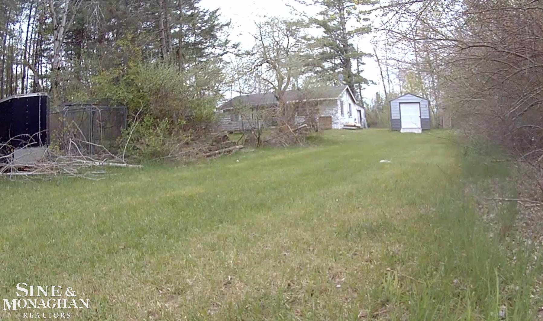 Picture 3