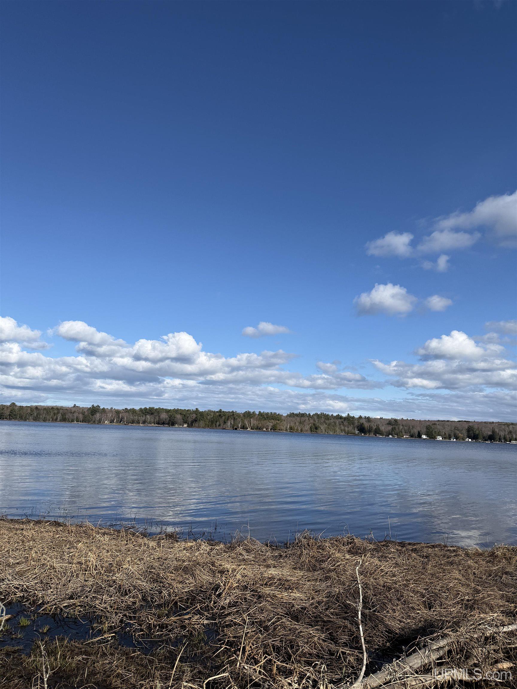 MLS 50208306 Large photo number 19 