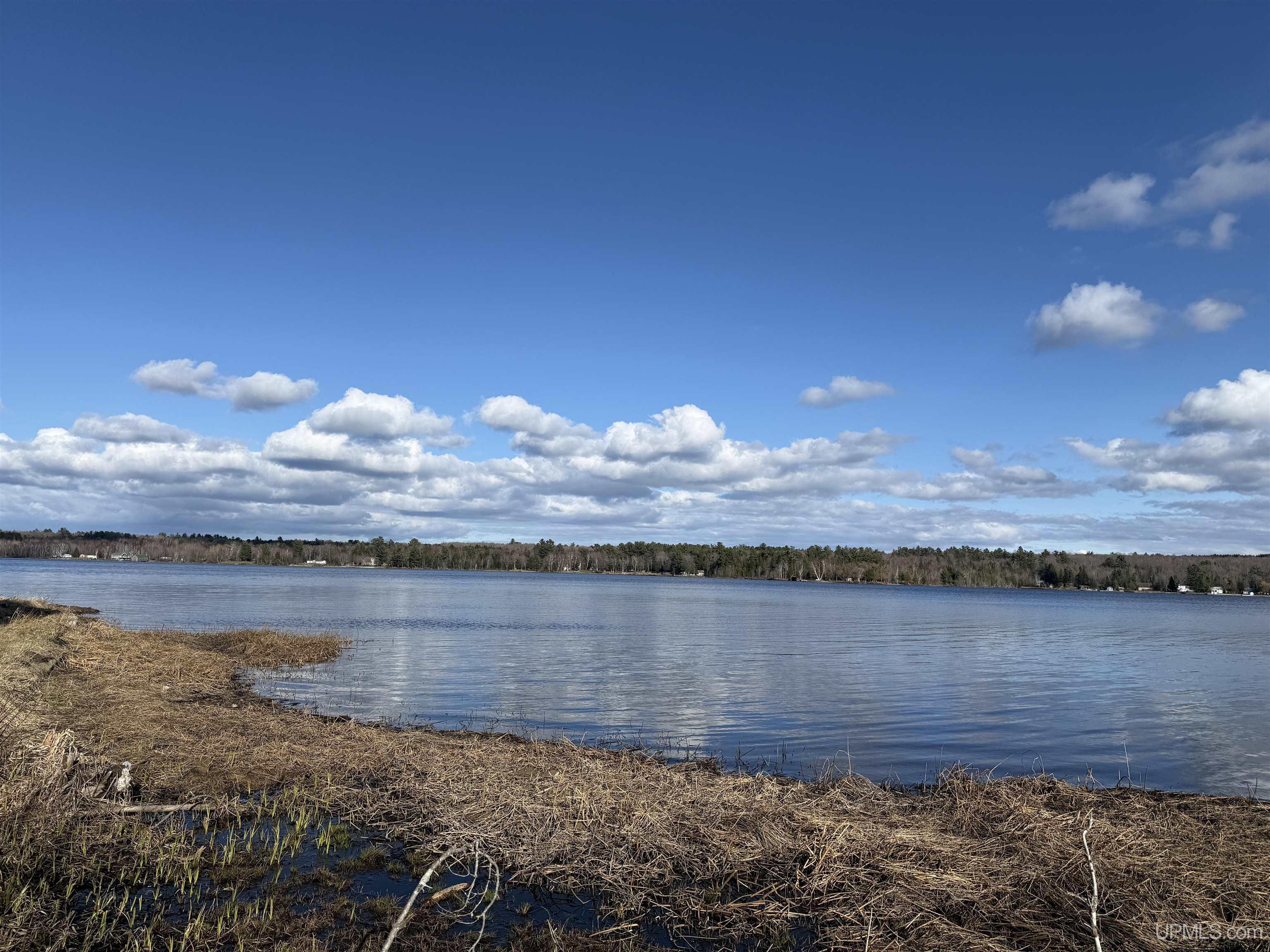 MLS 50208306 Large photo number 20 