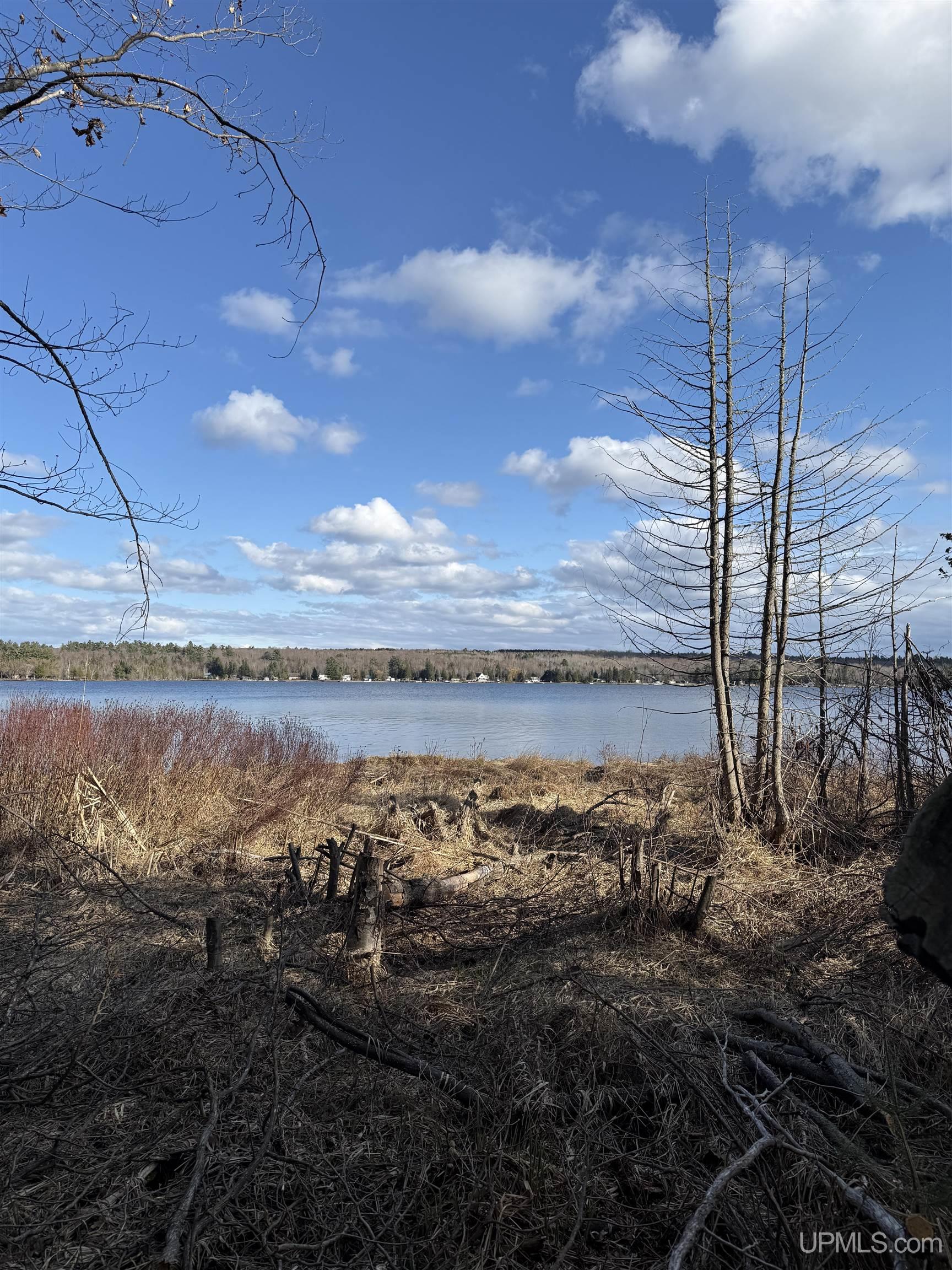 MLS 50208306 Large photo number 22 