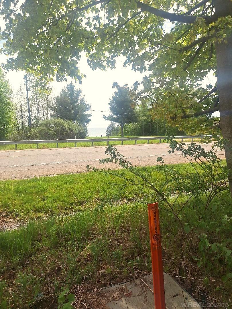 Homes for sale in Applegate, MI | Parcel 2 Lakeshore Rd, Applegate, MI 48401 | MLS# 50208422