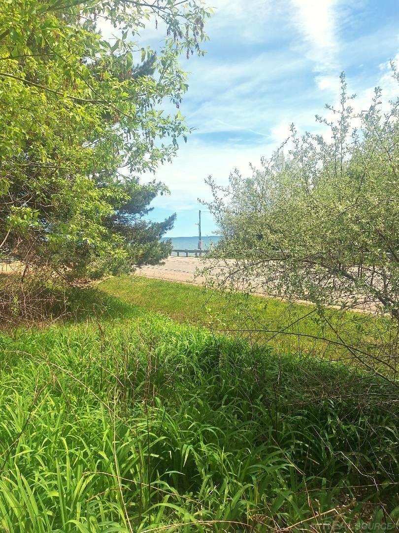 Picture 7