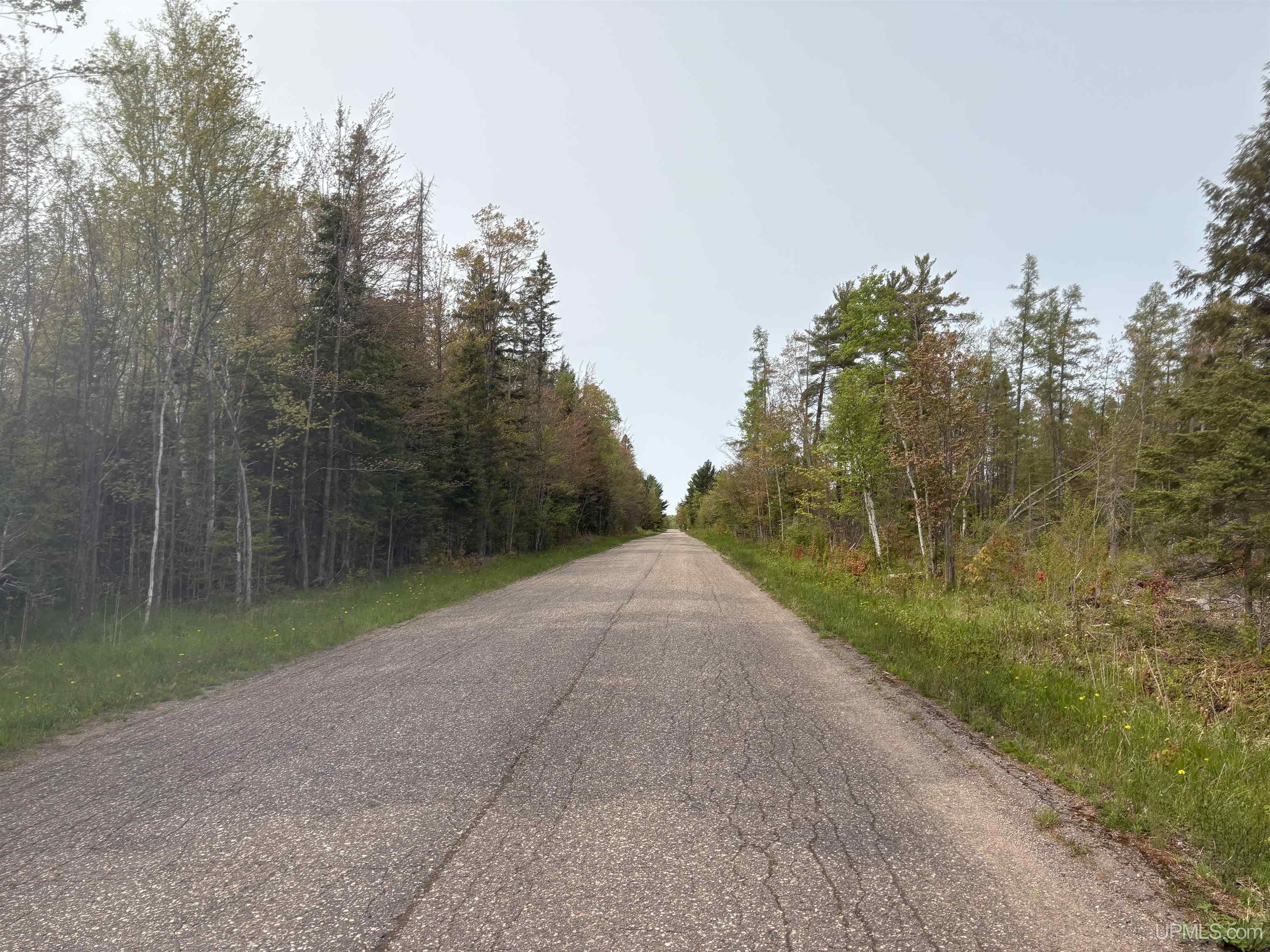 Parcel D Kunde Road, Skandia MI 49885, 50208523