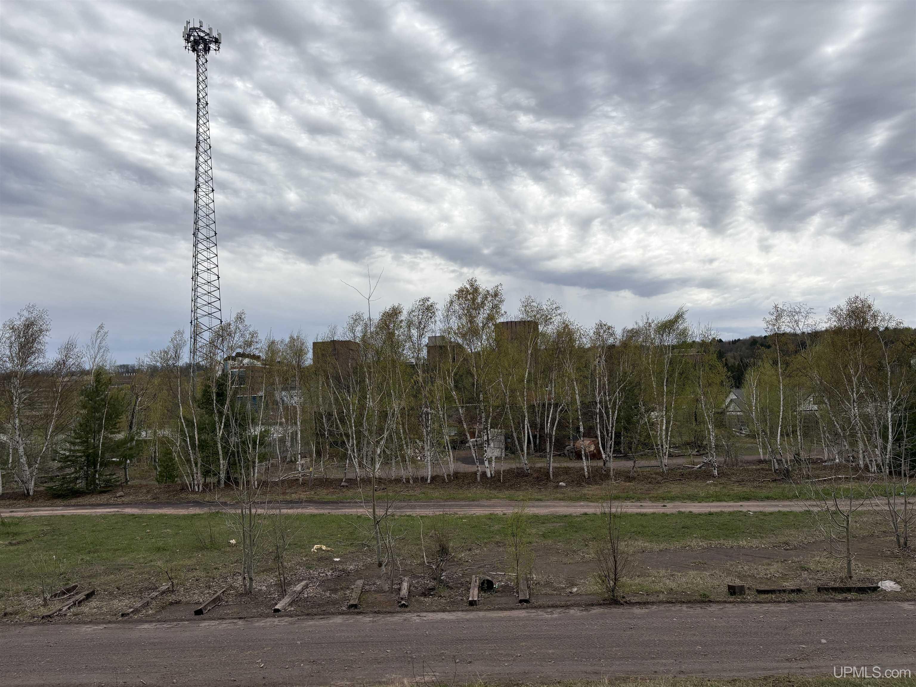 MLS 50208691 Large photo number 8 