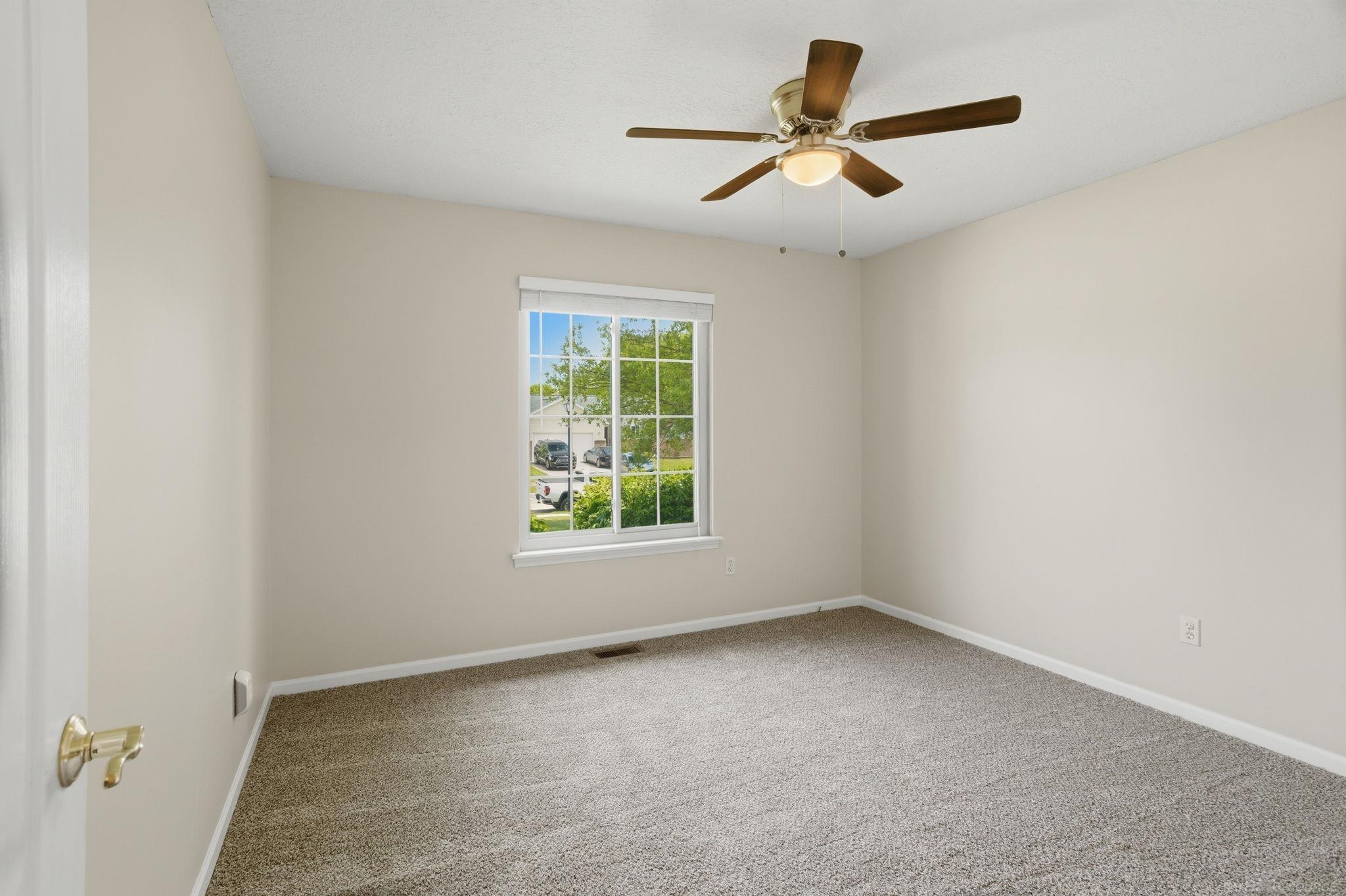 337 Courtneys Place photo 11