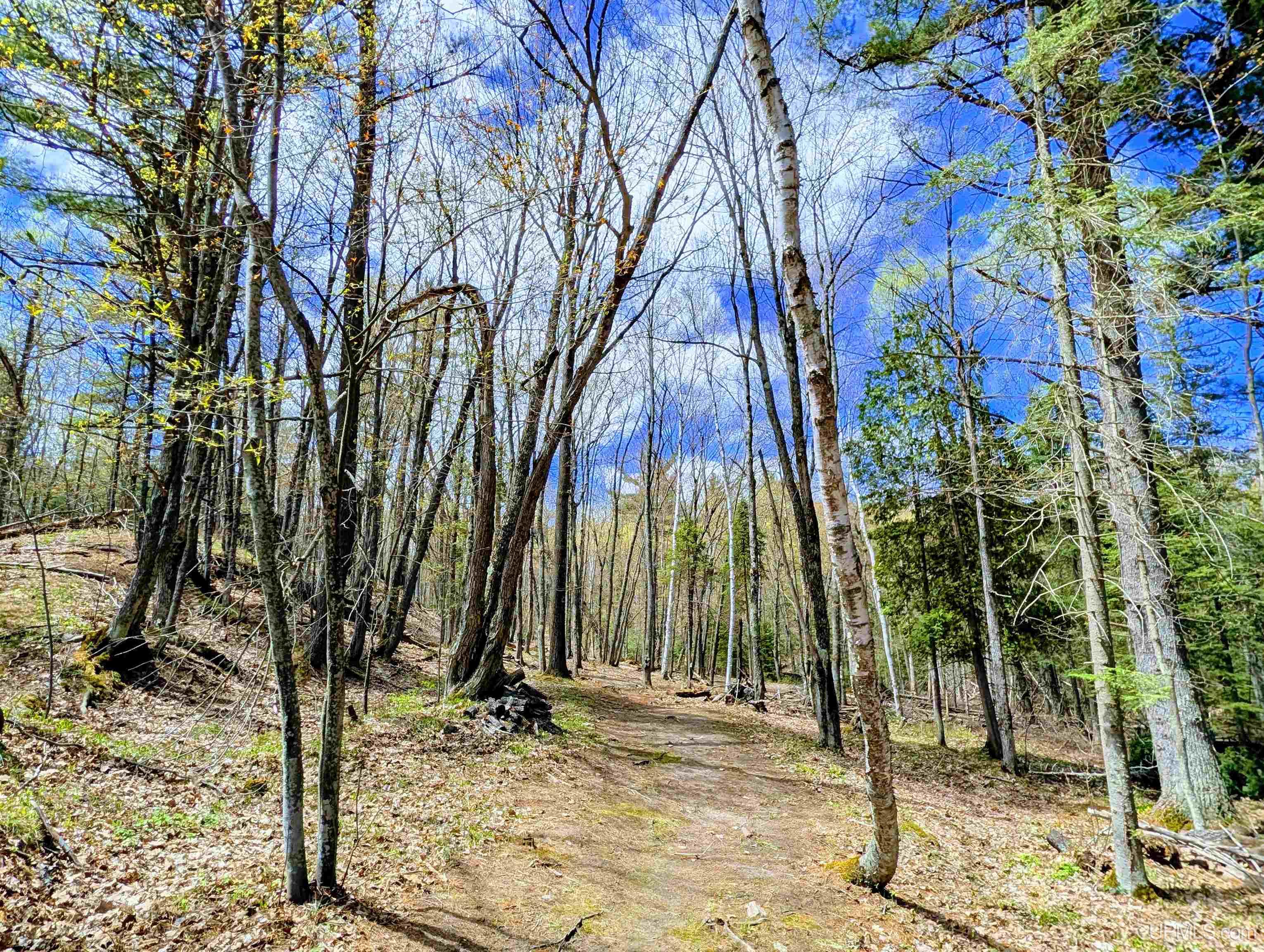 MLS 50208849 Large photo number 50 