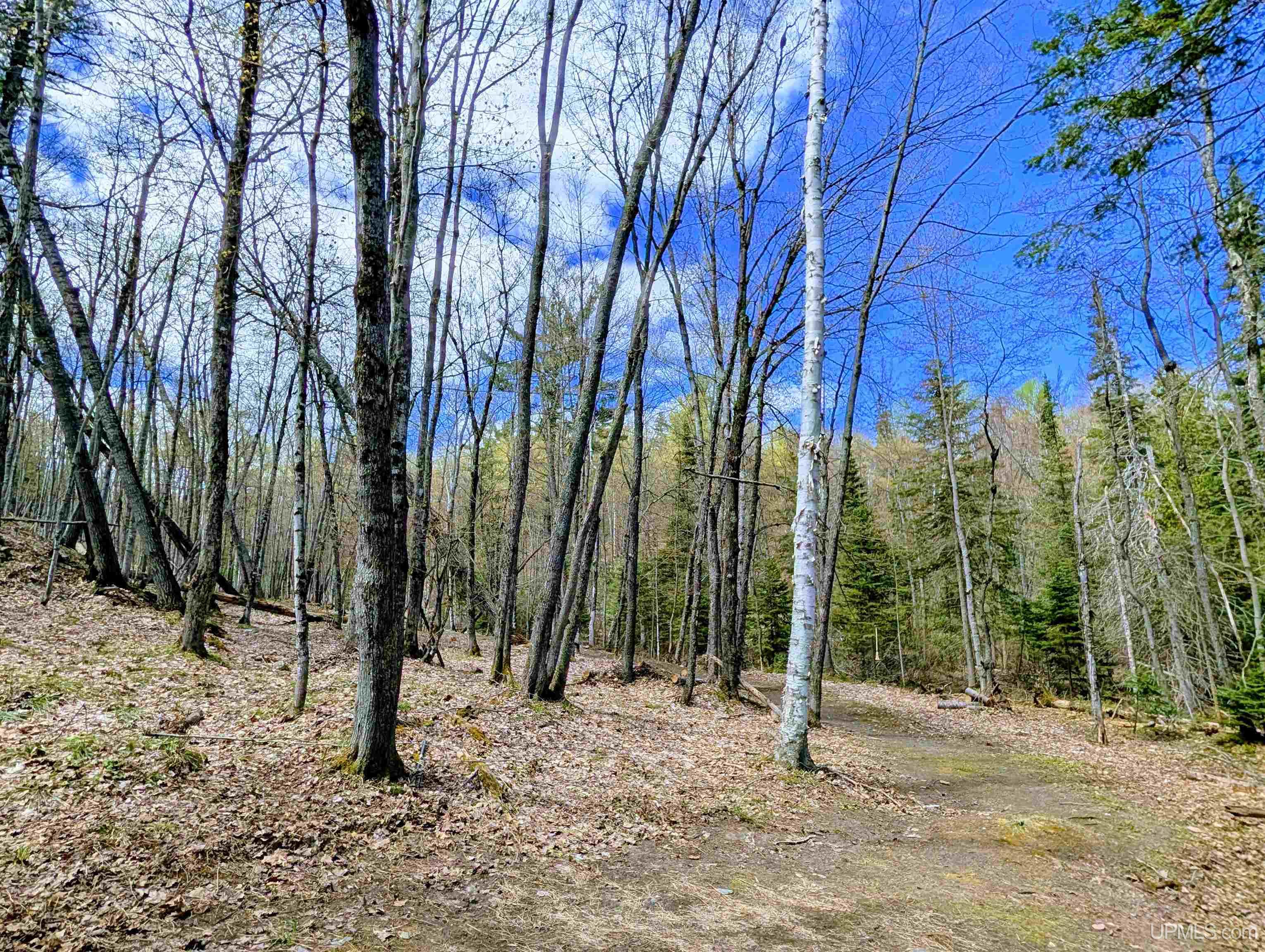 MLS 50208849 Large photo number 51 