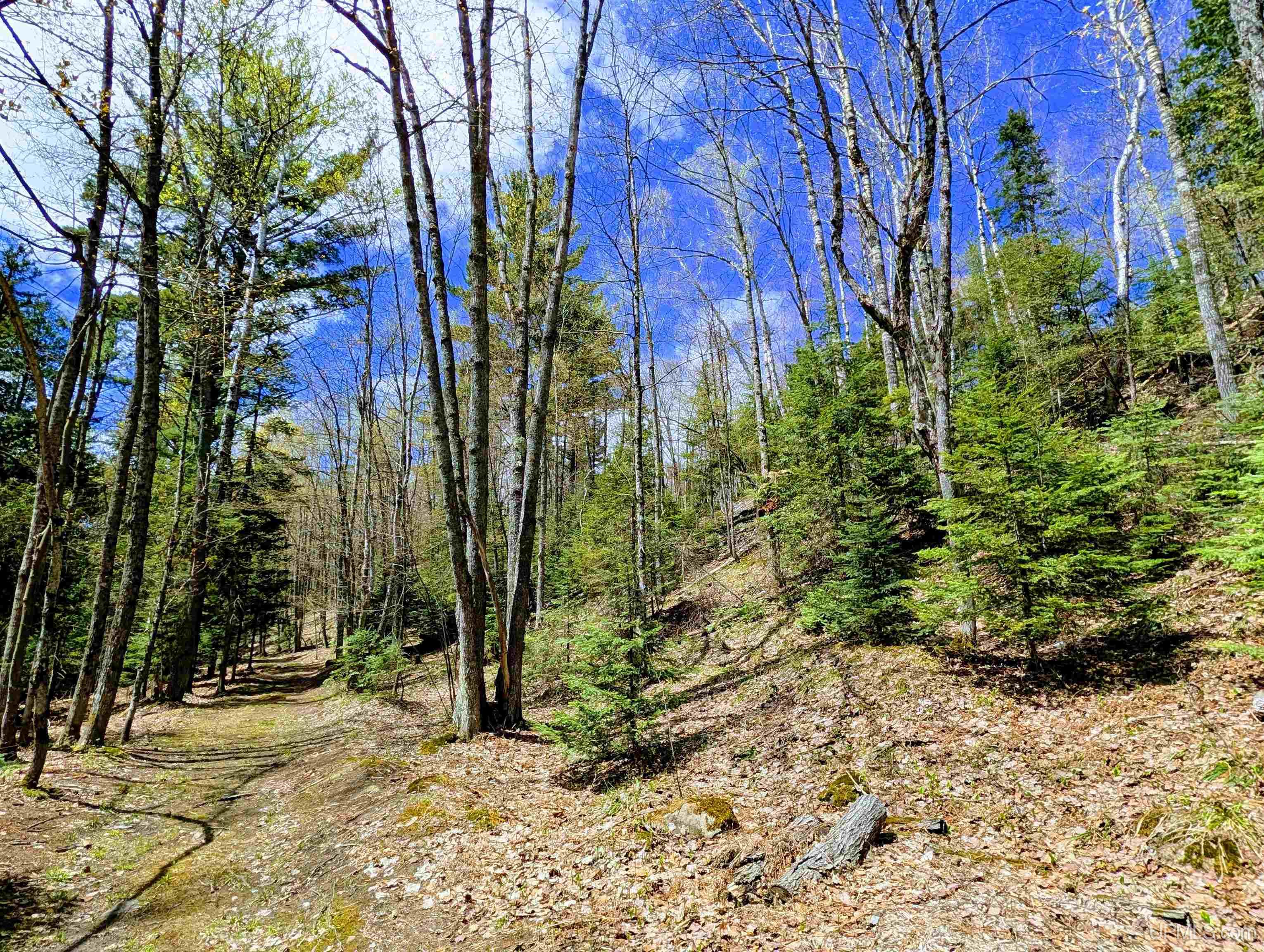 MLS 50208849 Large photo number 56 