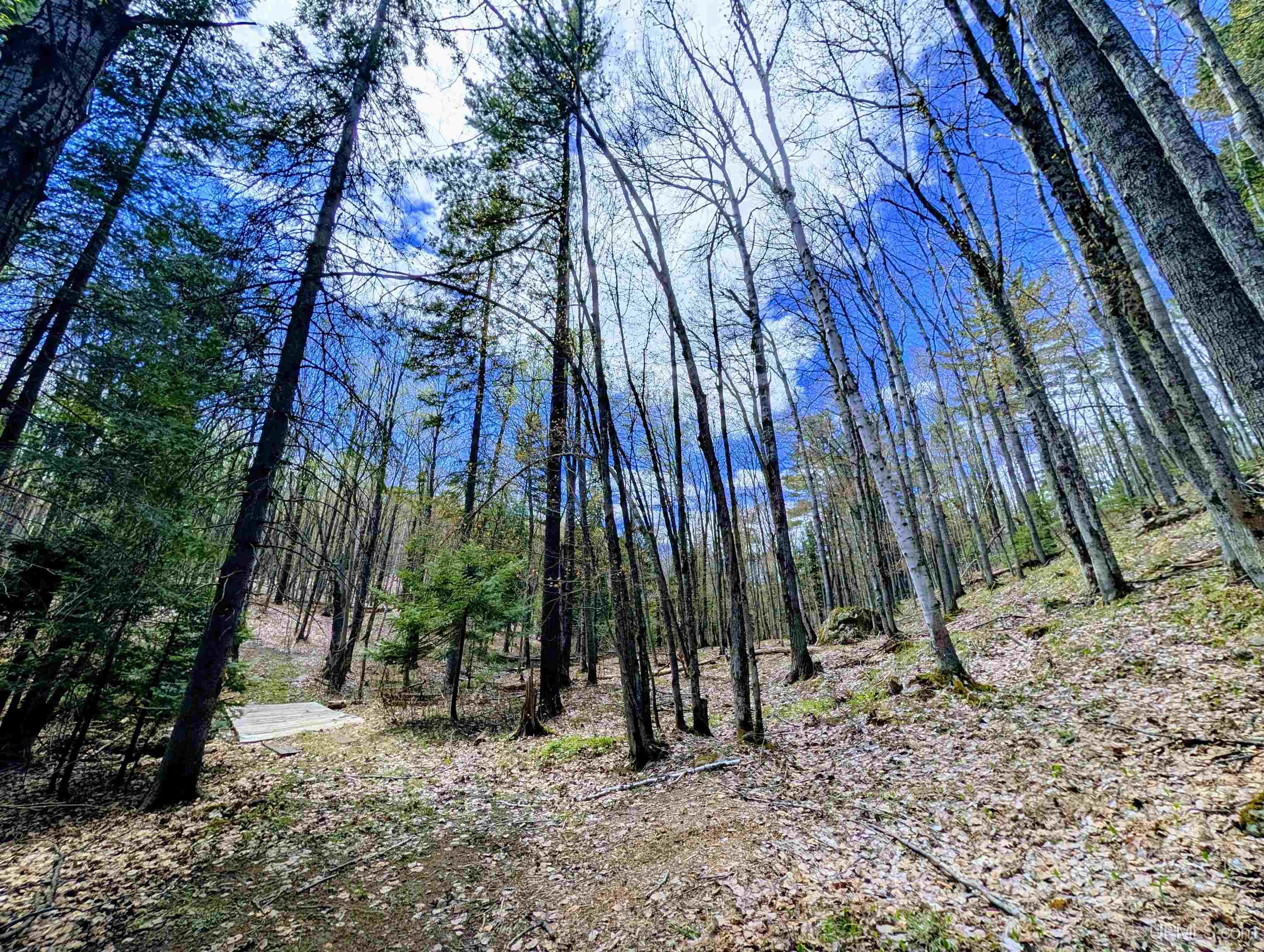 MLS 50208849 Large photo number 57 