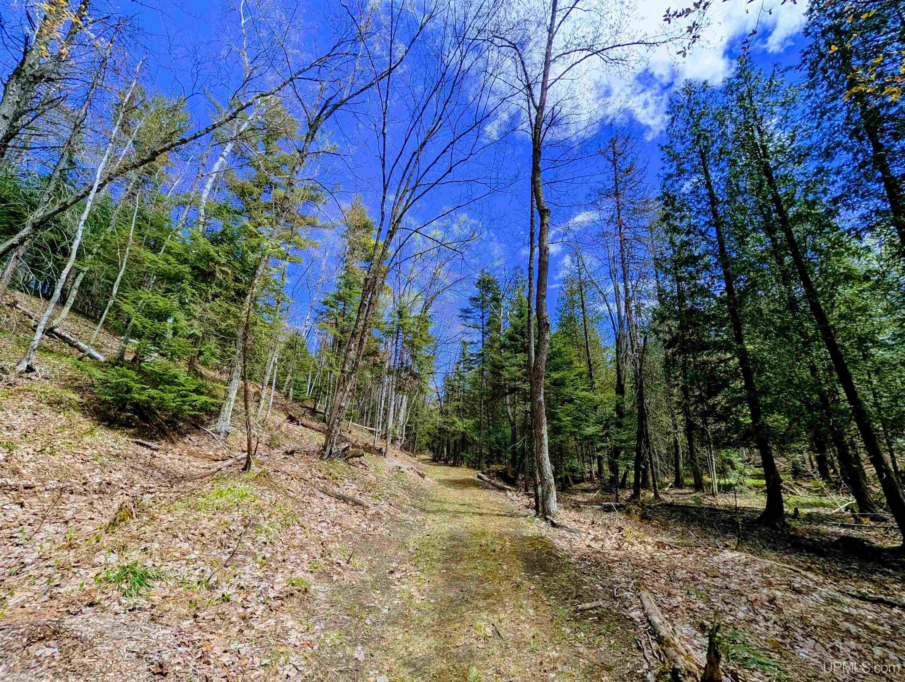 MLS 50208849 Large photo number 58 