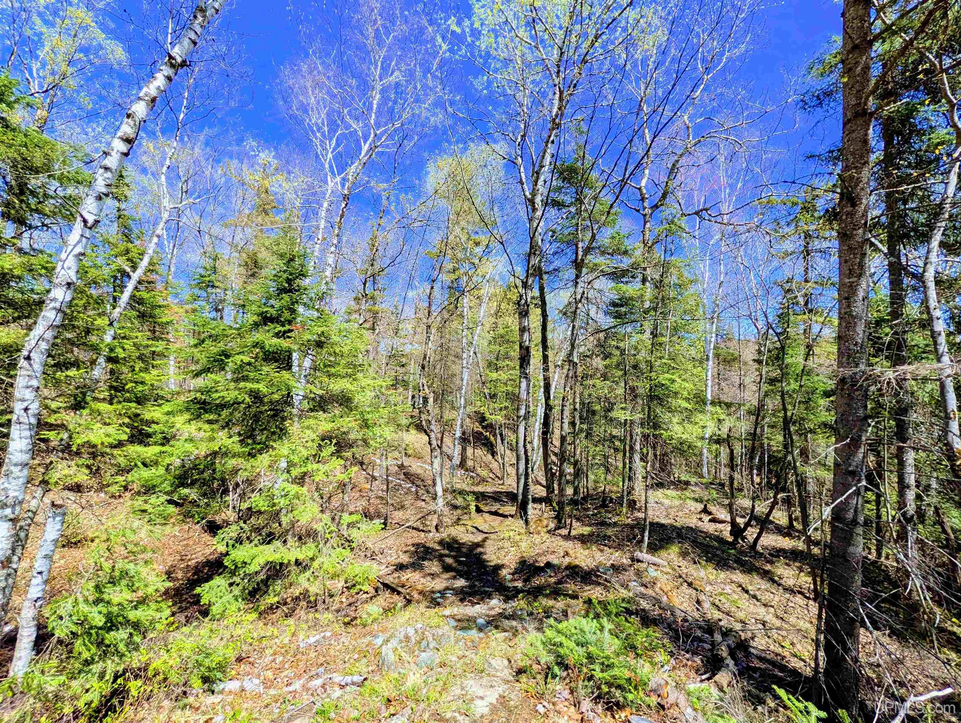 MLS 50208849 Large photo number 59 