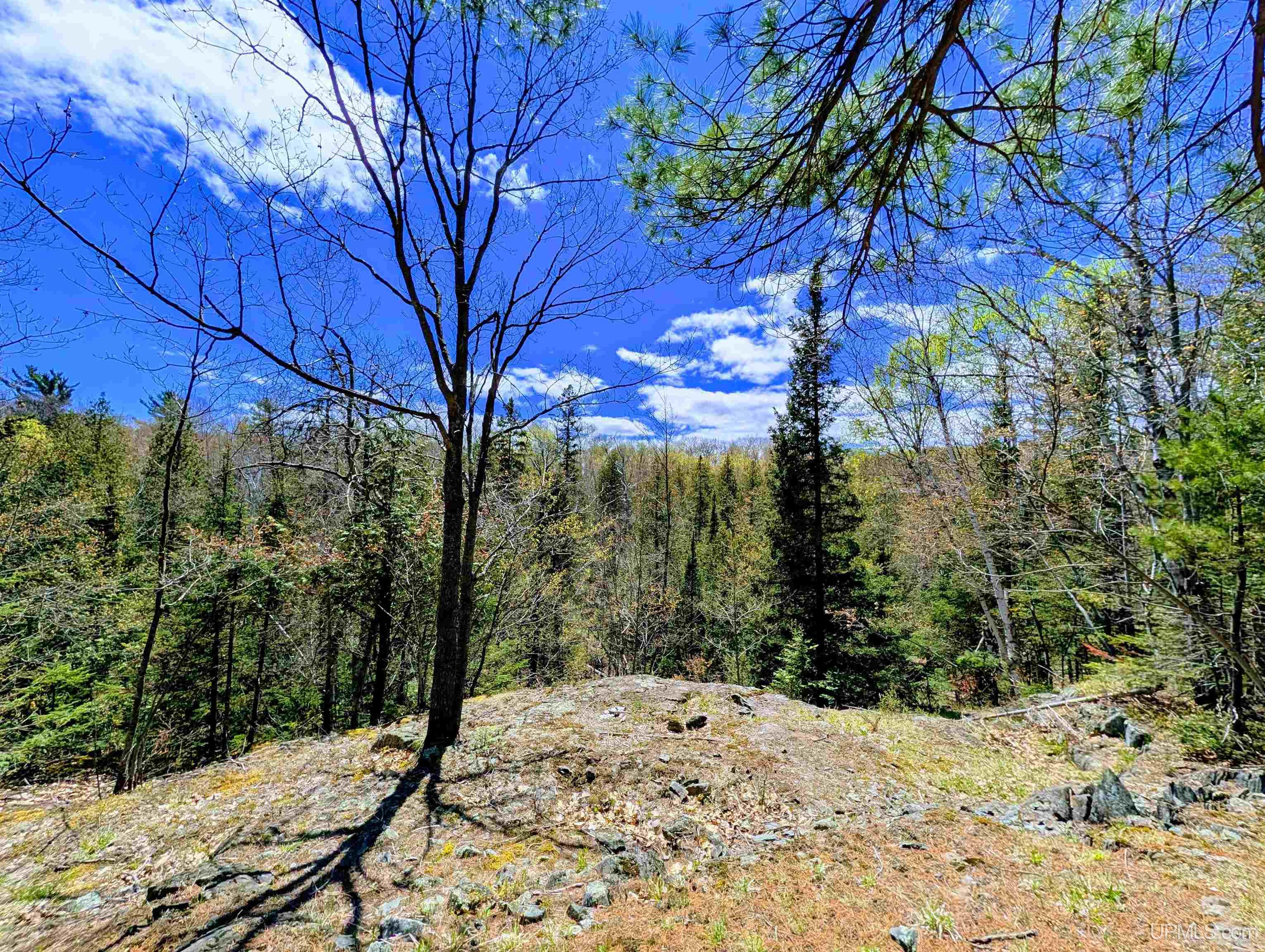 MLS 50208849 Large photo number 60 