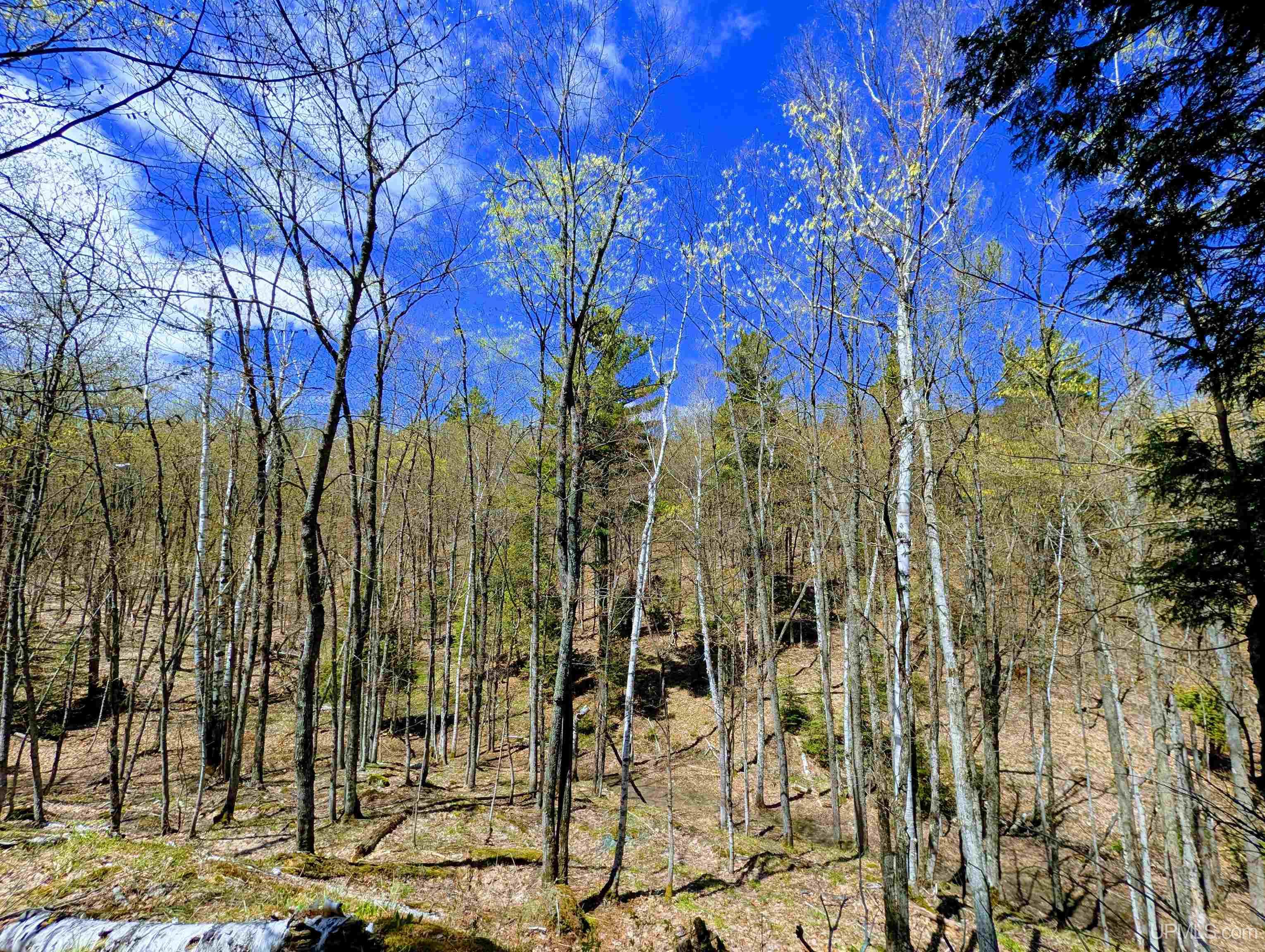 MLS 50208849 Large photo number 62 
