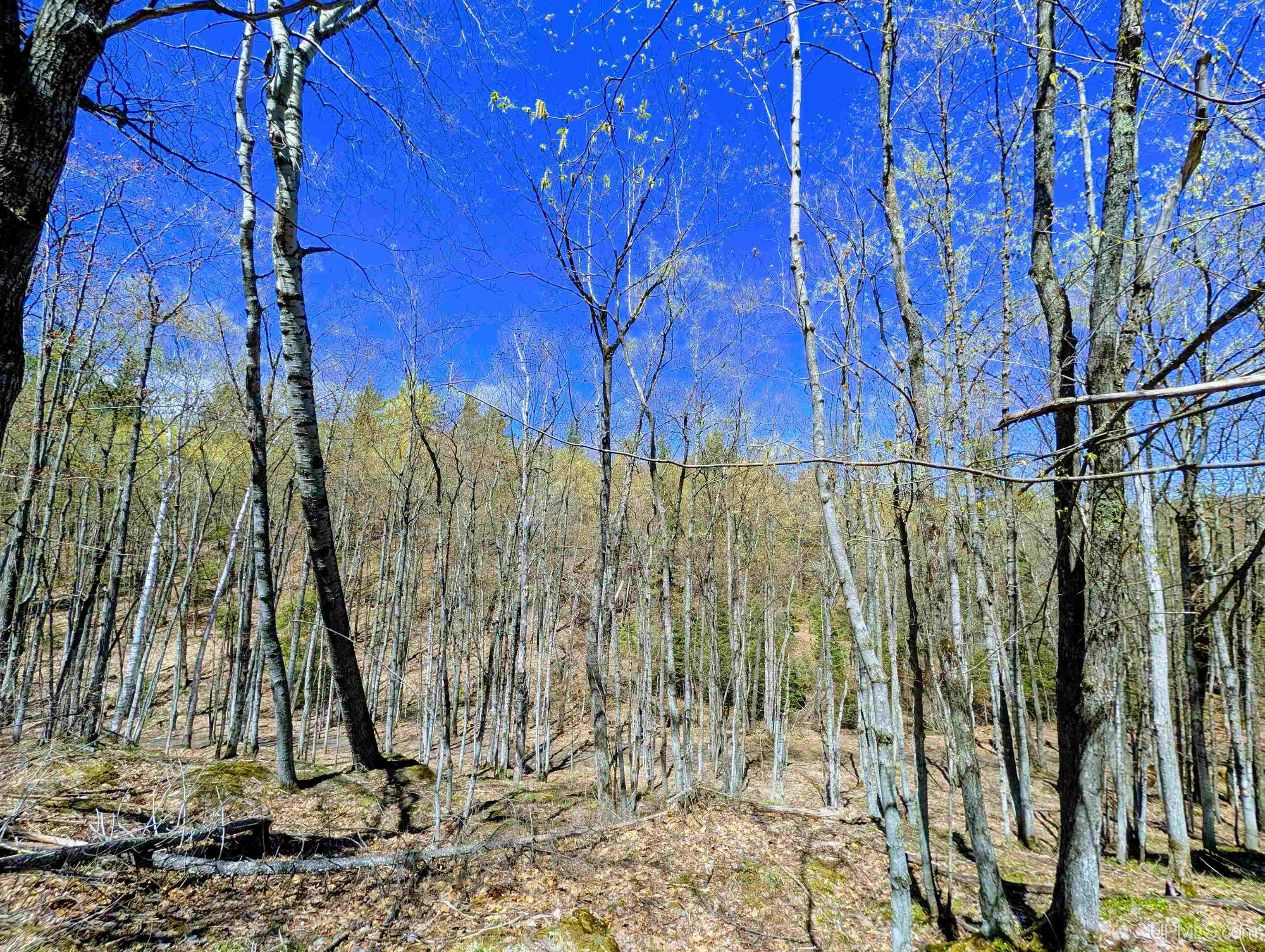 MLS 50208849 Large photo number 63 