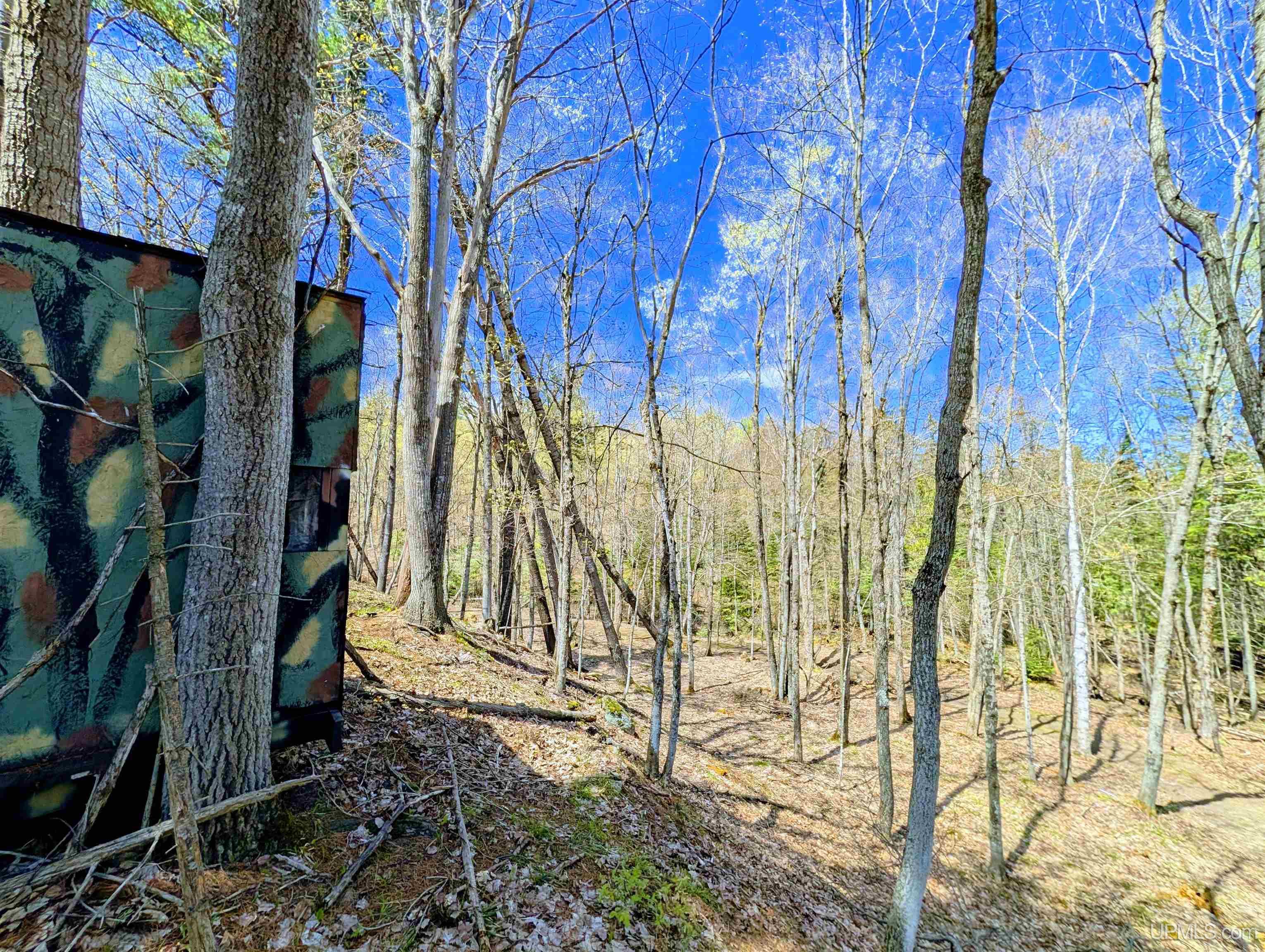 MLS 50208849 Large photo number 64 