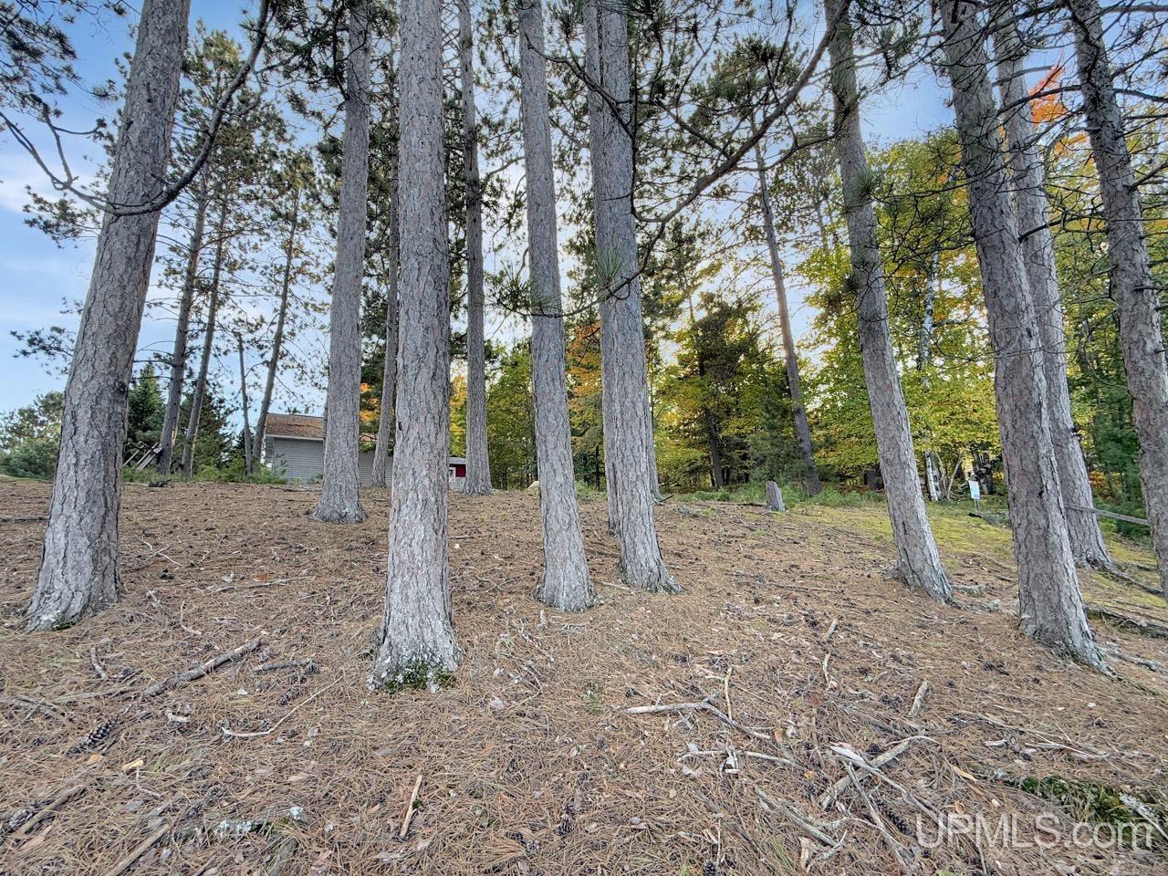 MLS 50208894 Large photo number 25 