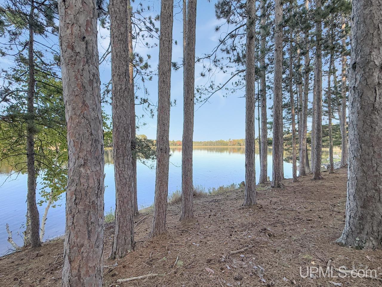 MLS 50208894 Large photo number 27 